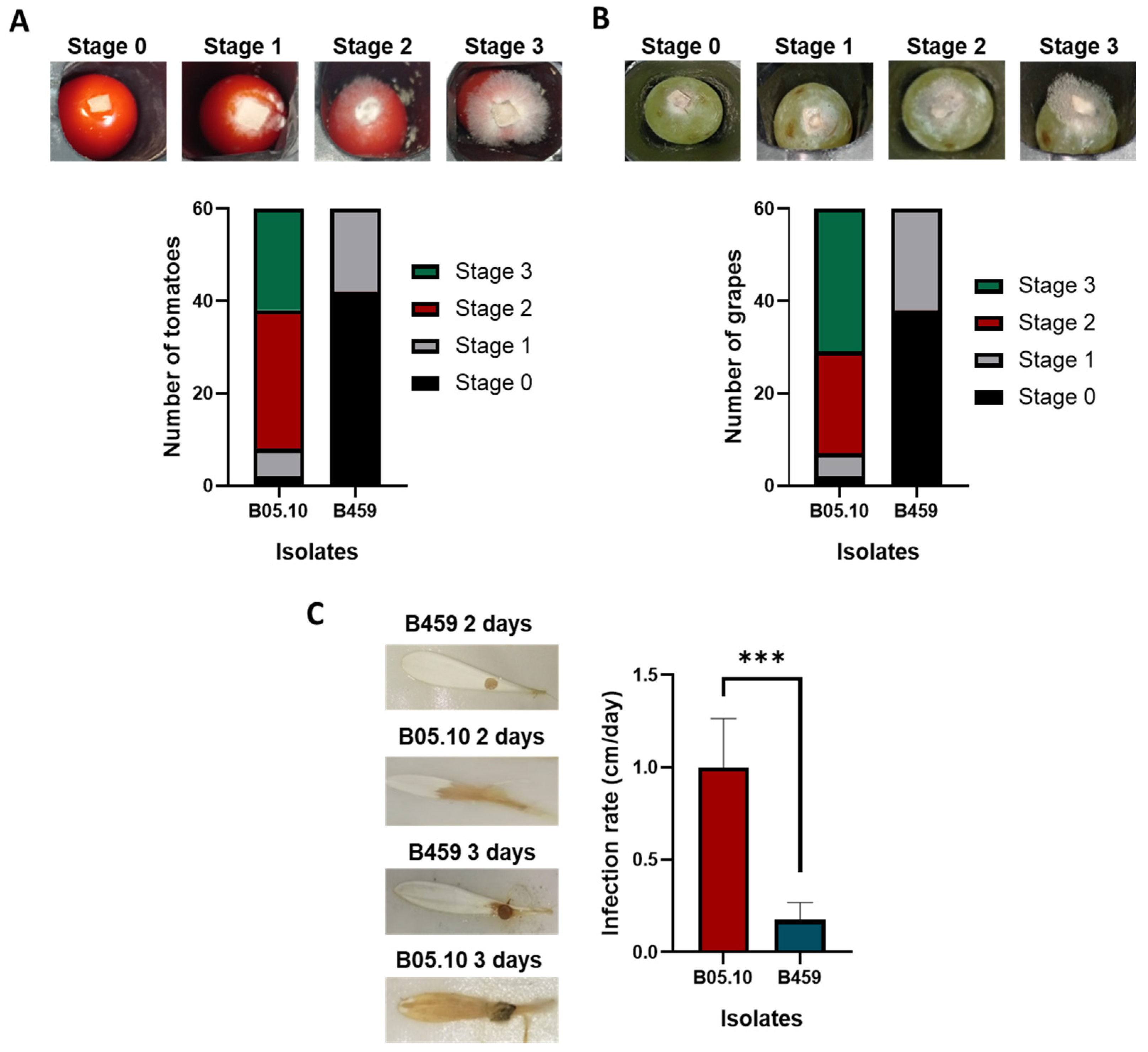 Agriculture 14 00932 g004