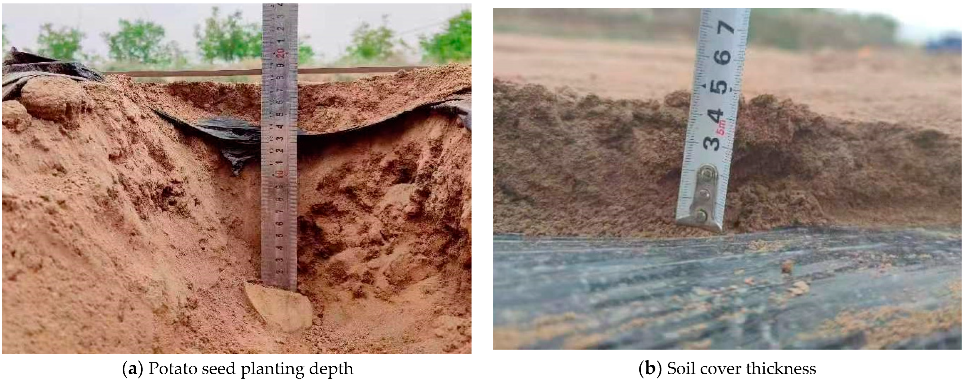 Agriculture 14 00933 g028