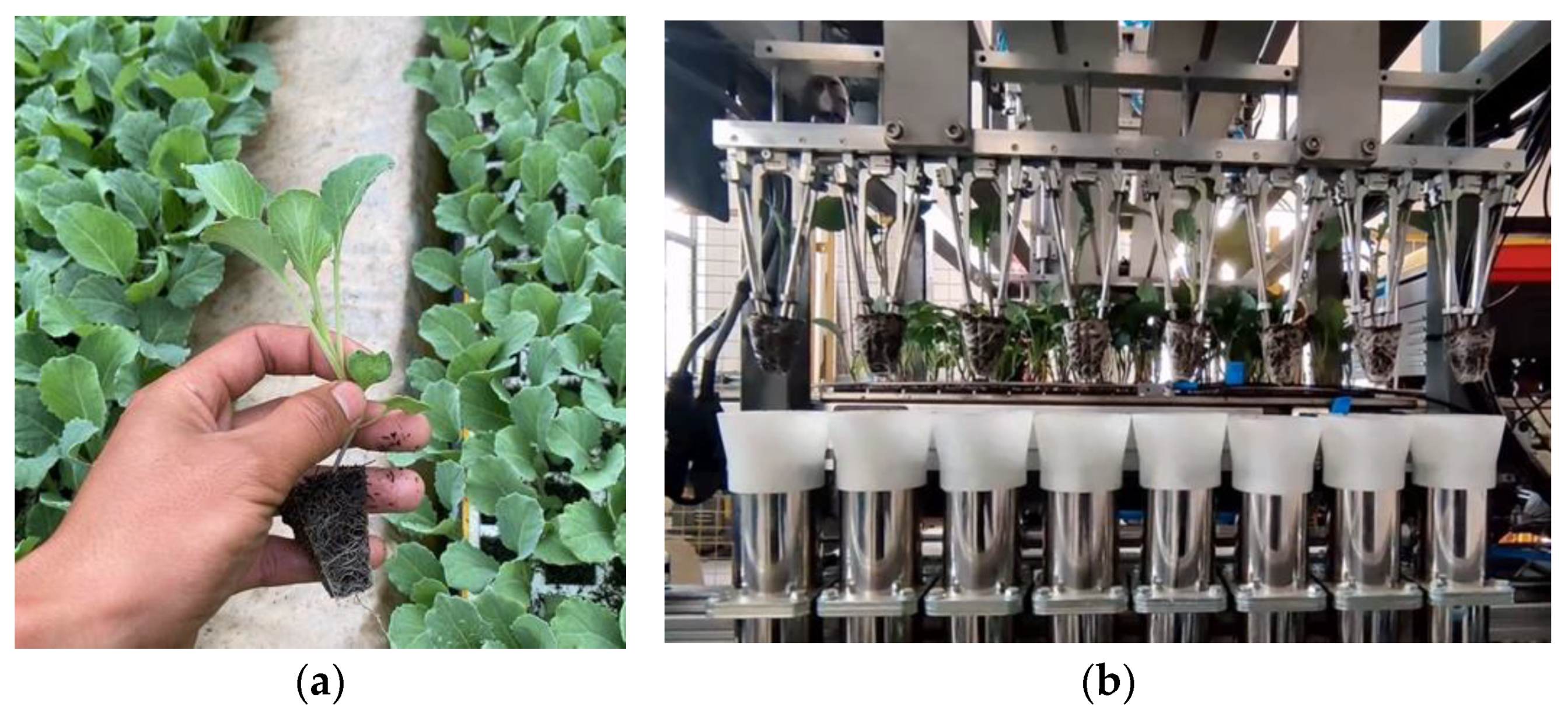 Agriculture 14 00942 g011