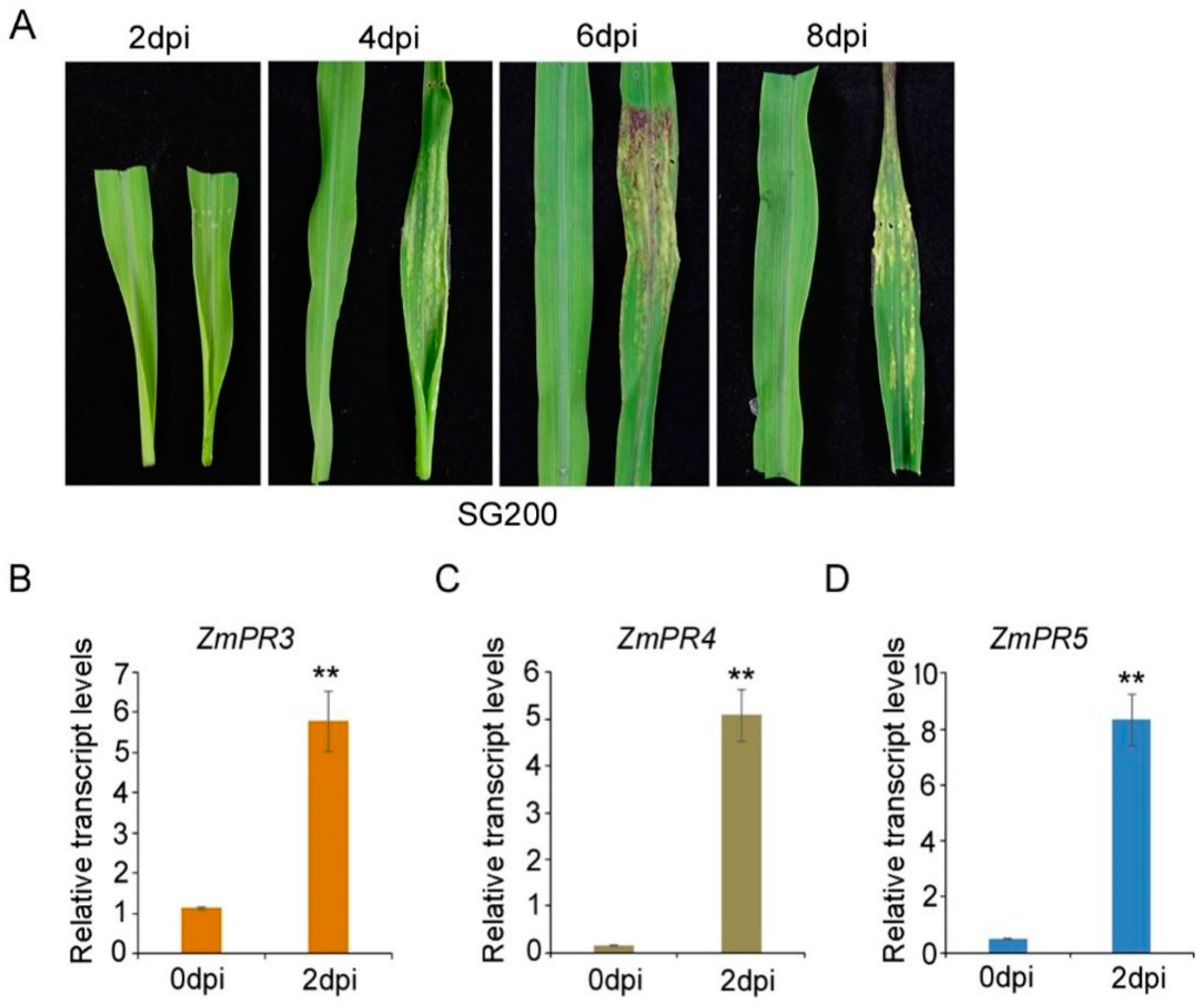 Agriculture 14 00958 g001