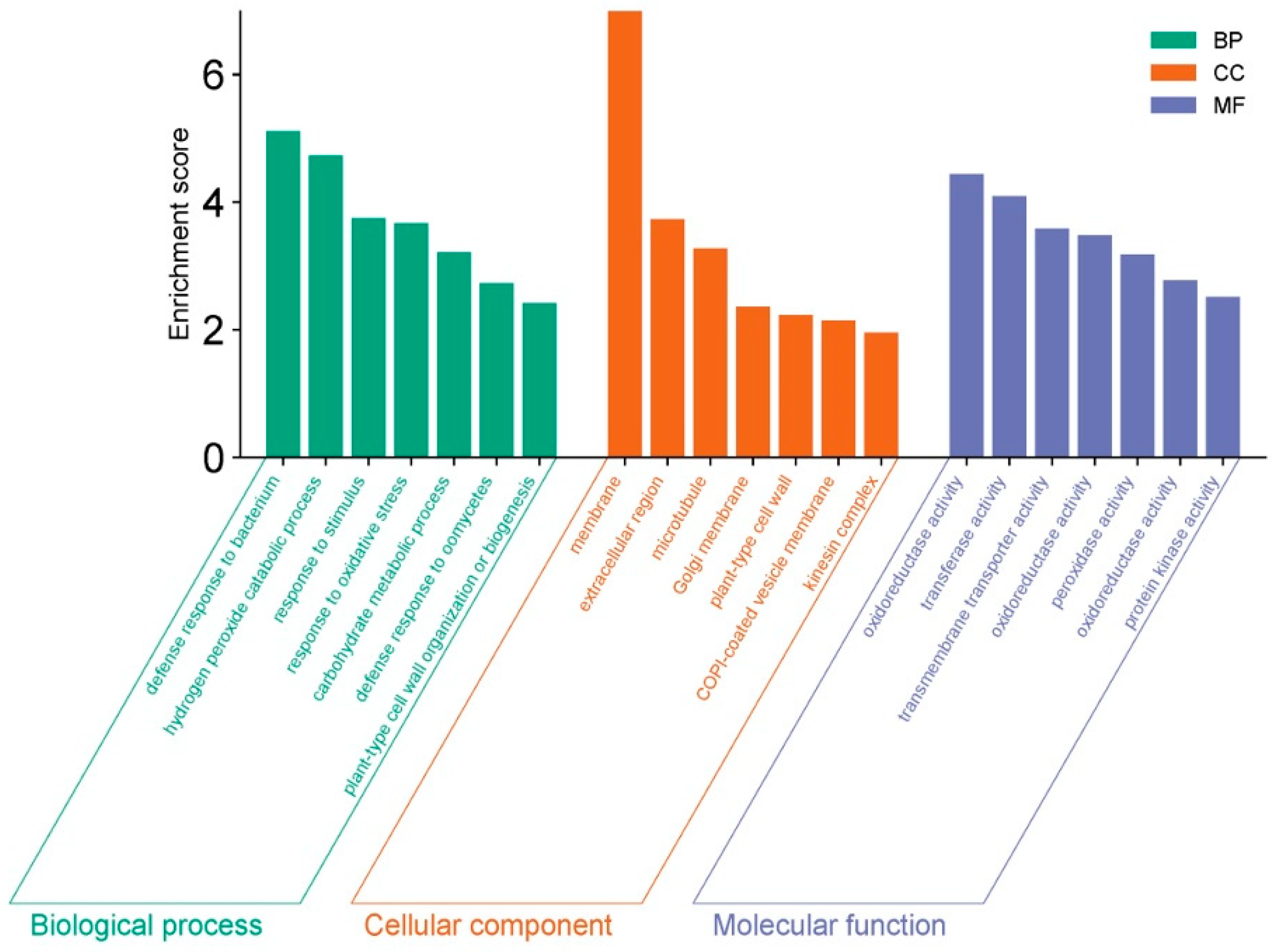 Agriculture 14 00958 g003