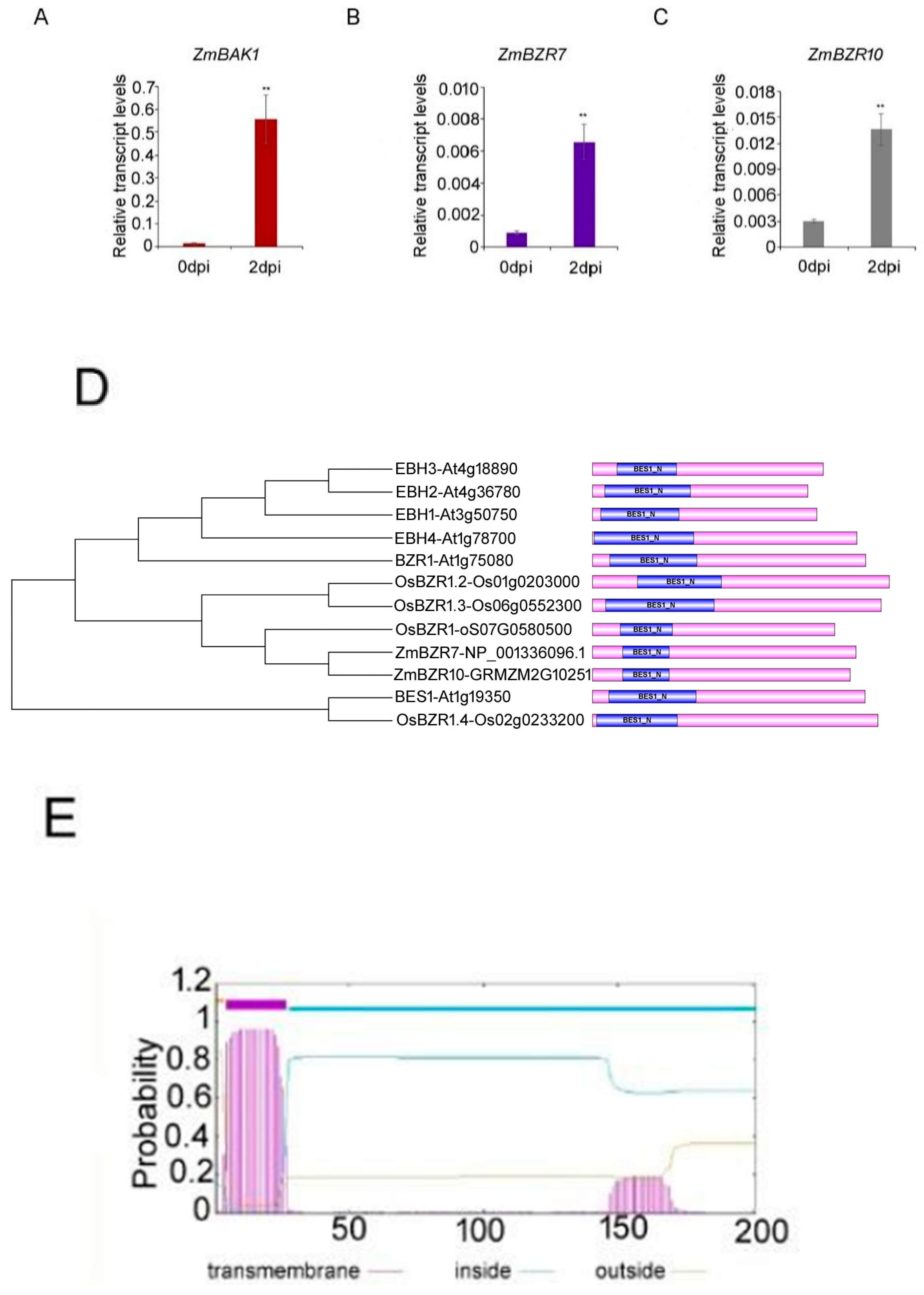 Agriculture 14 00958 g005
