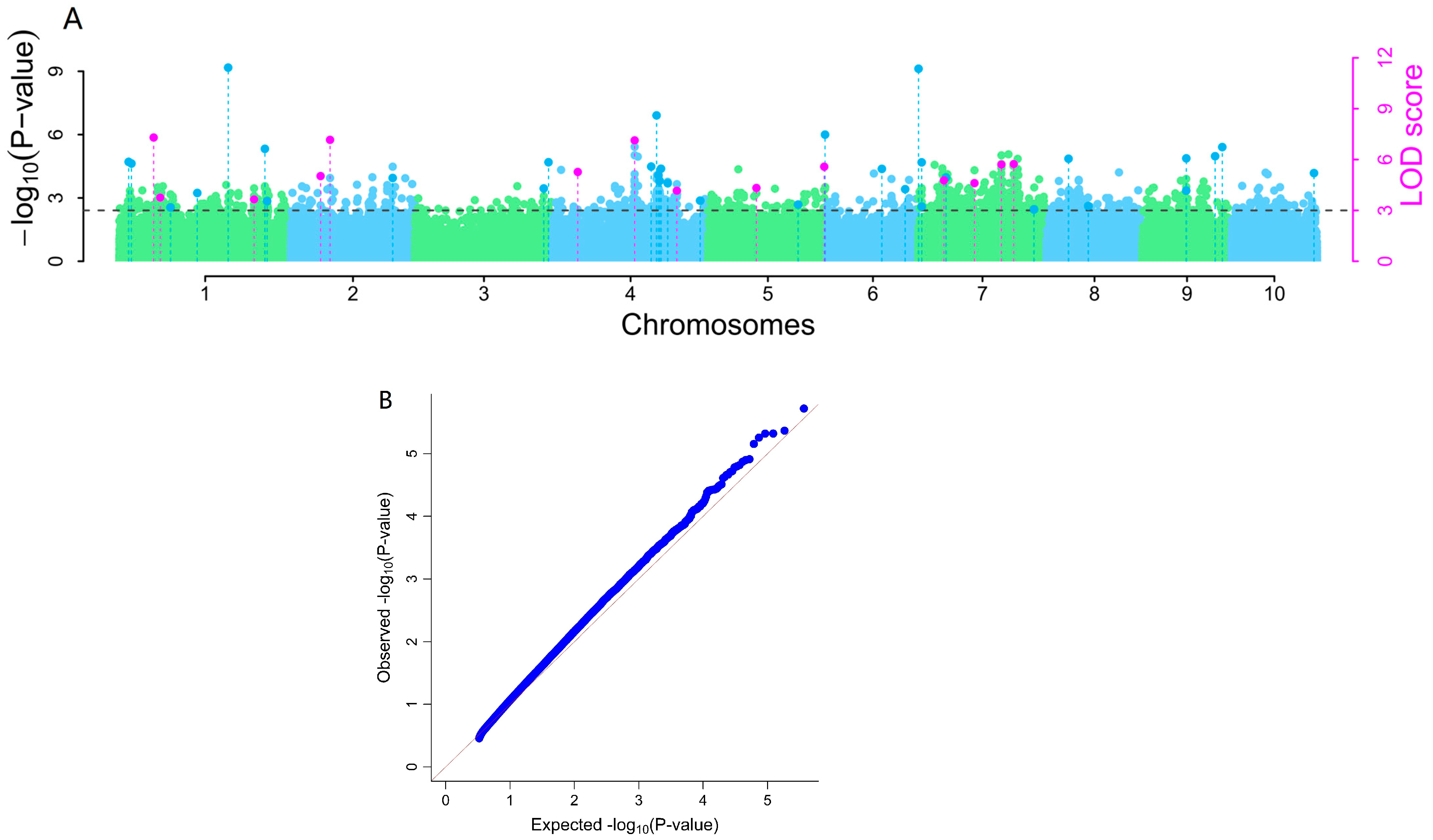 Agriculture 14 00958 g010