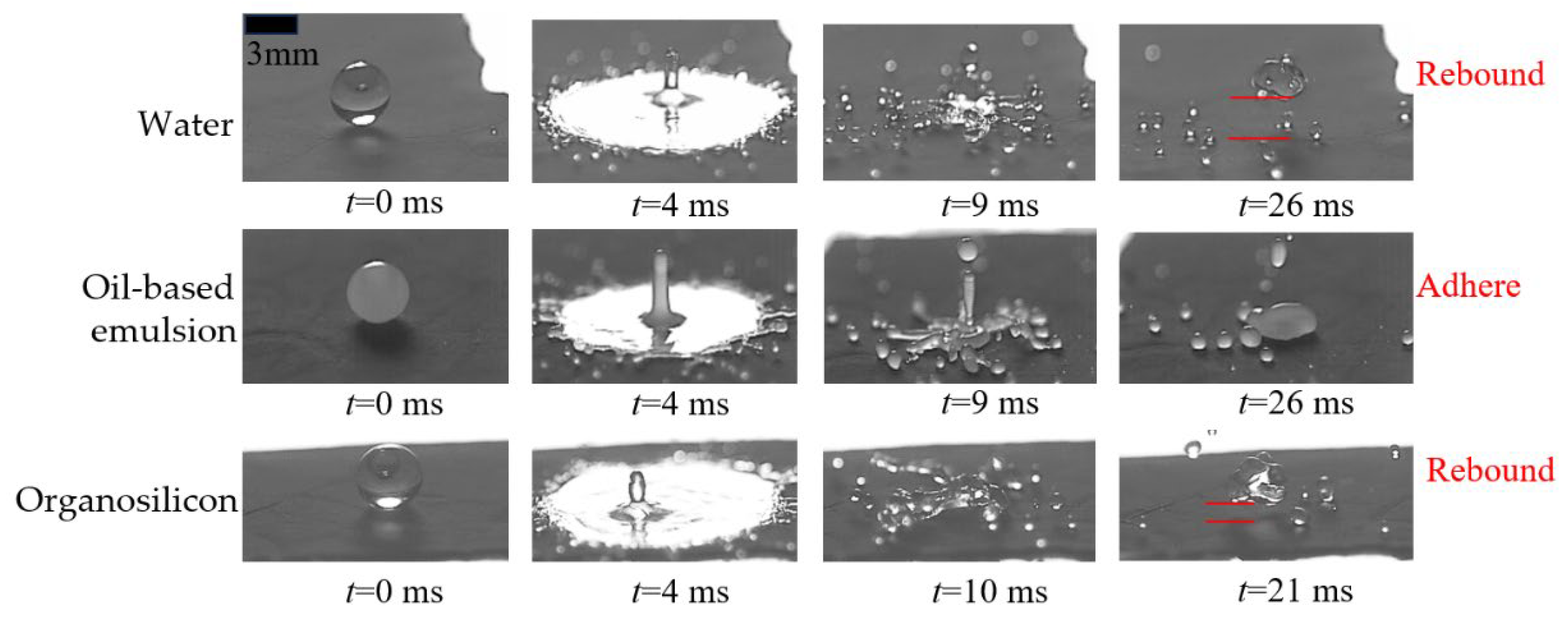 Agriculture 14 00960 g016