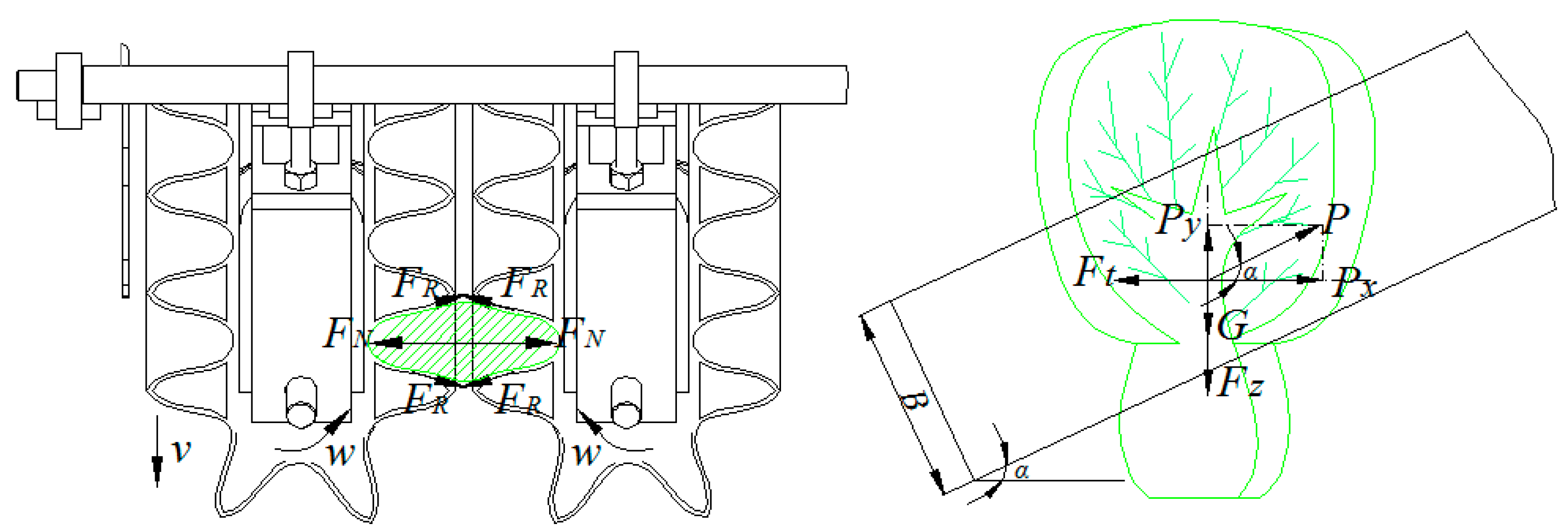 Agriculture 14 00967 g006