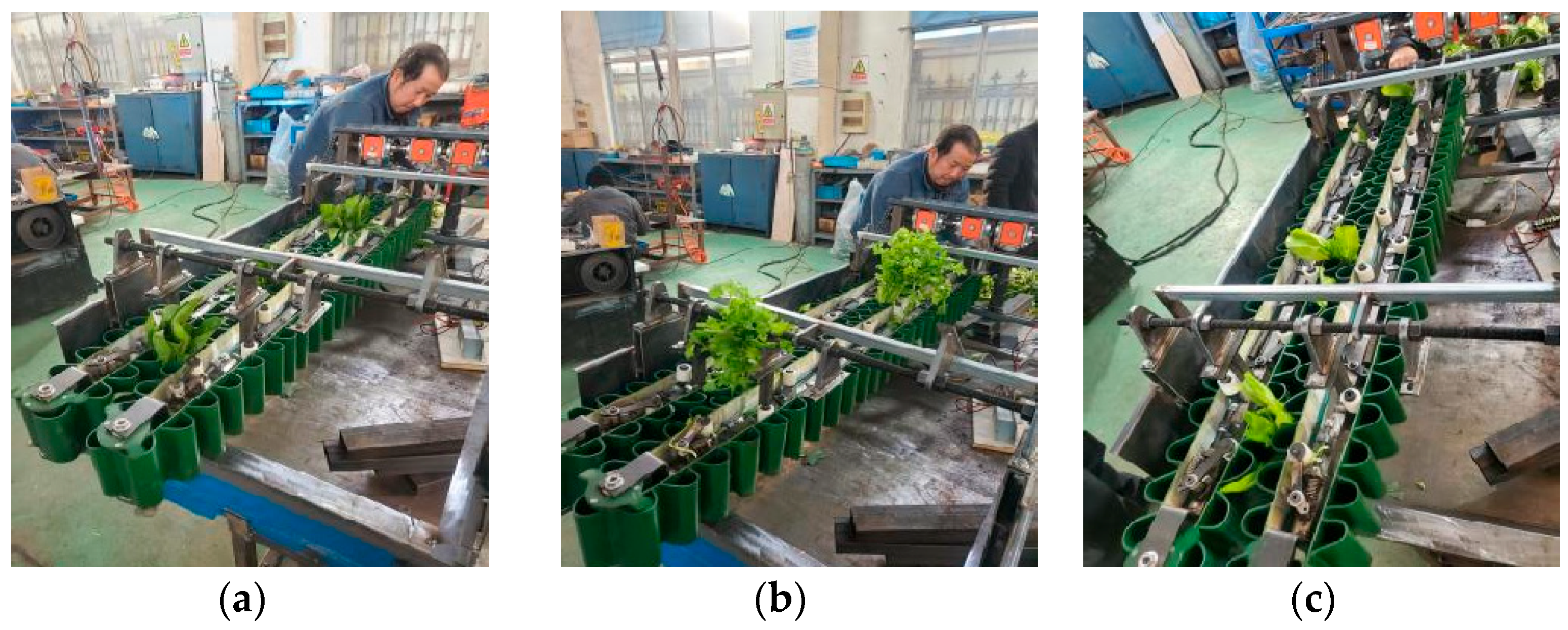 Agriculture 14 00967 g013