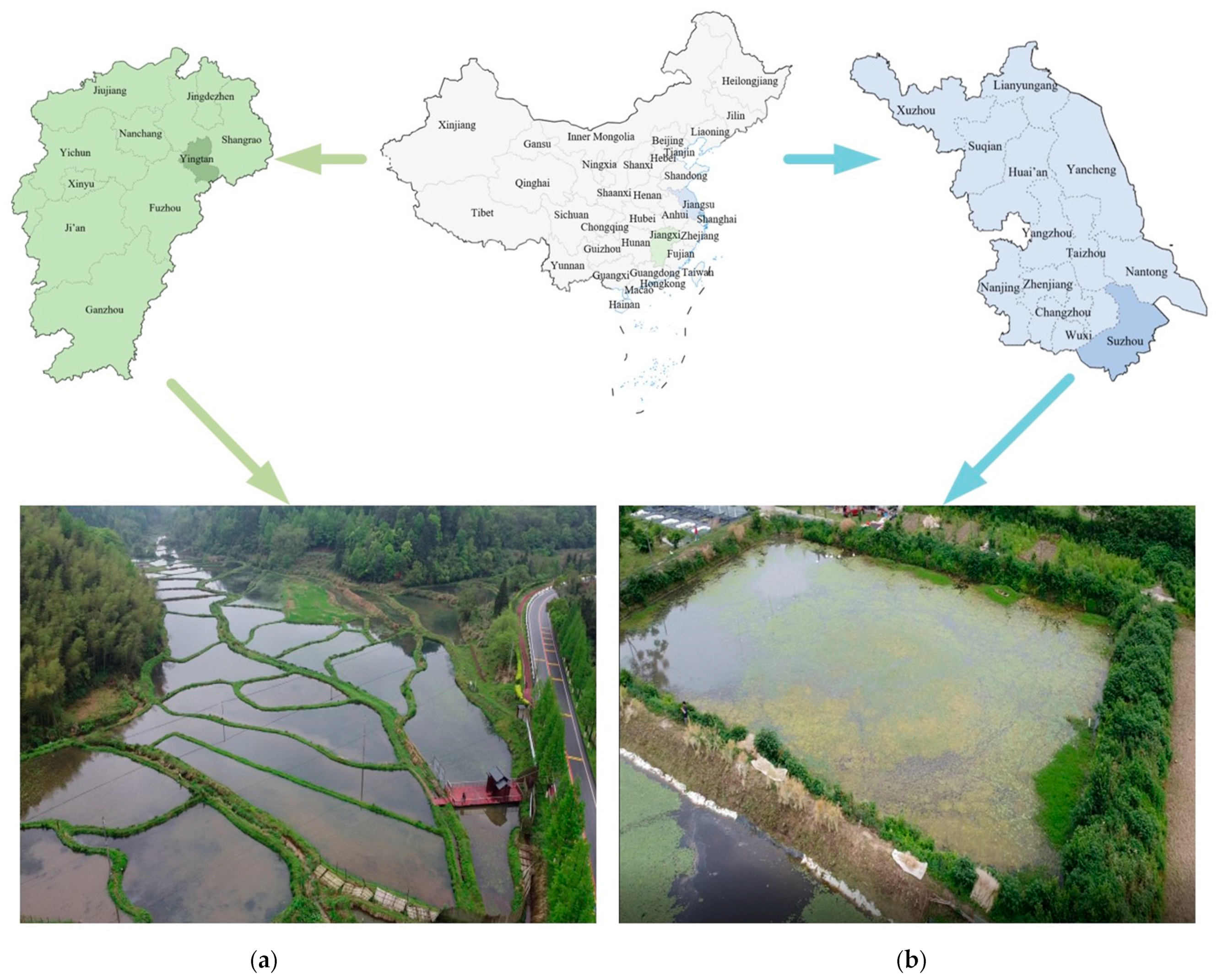 Agriculture 14 00971 g005