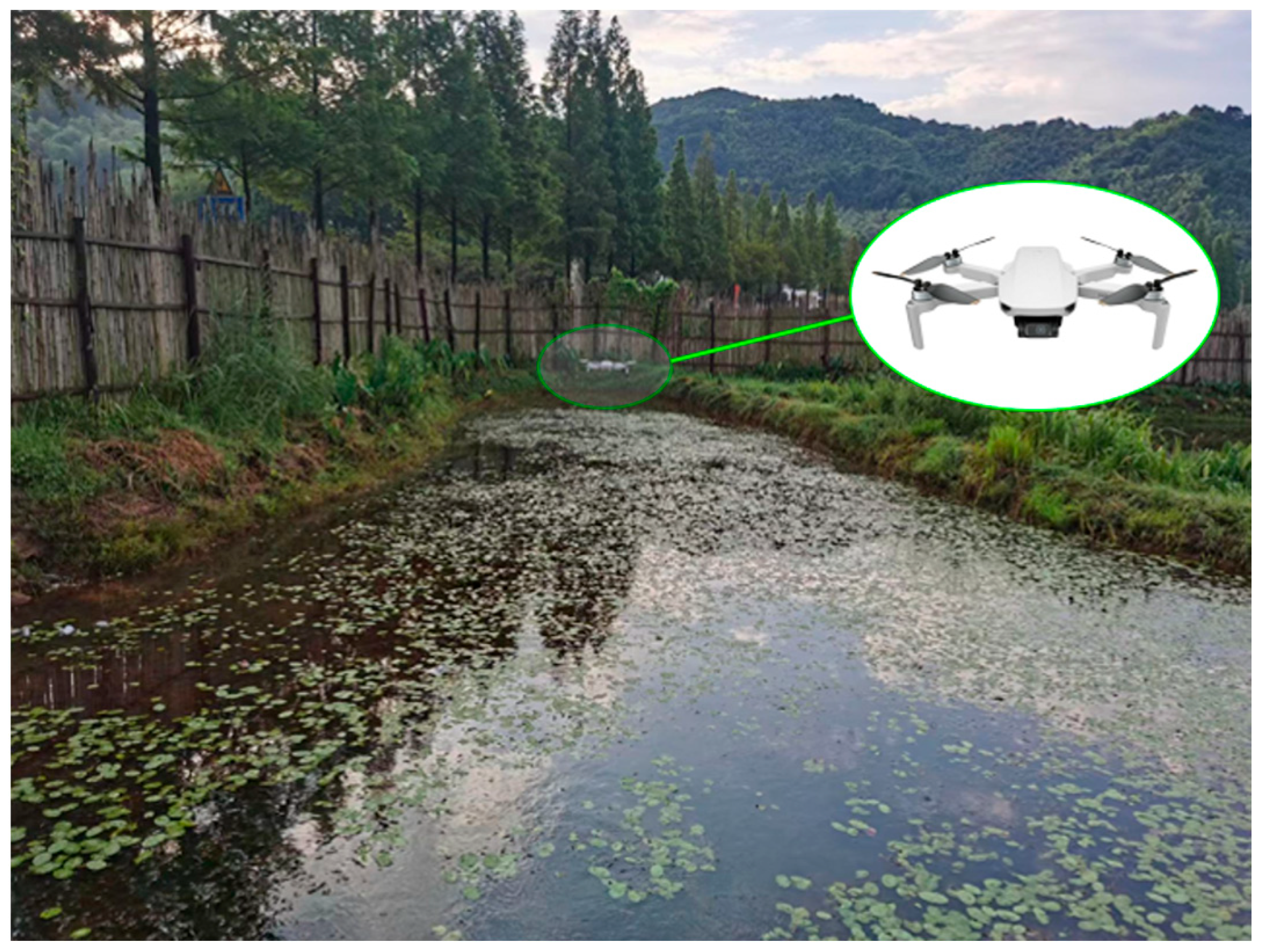 Agriculture 14 00971 g006