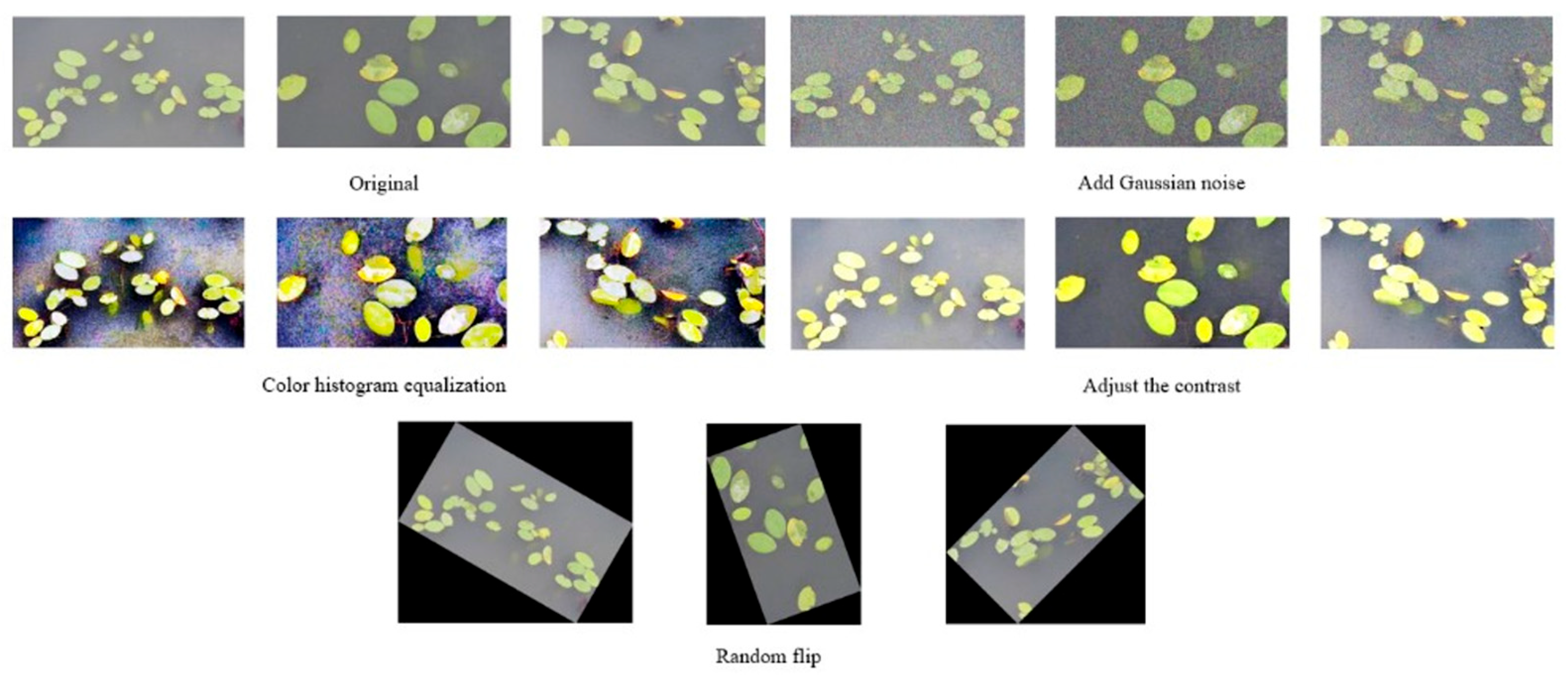 Agriculture 14 00971 g007