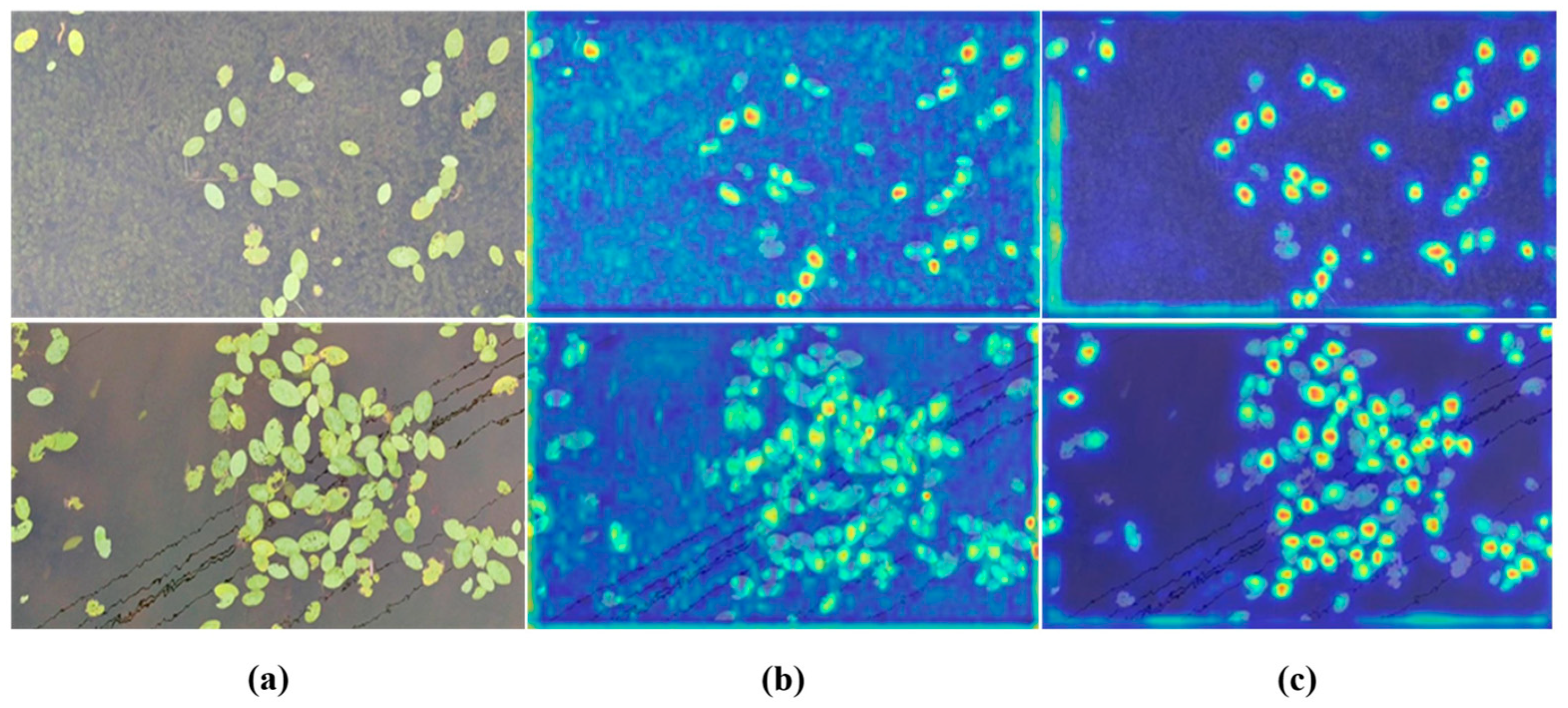 Agriculture 14 00971 g014