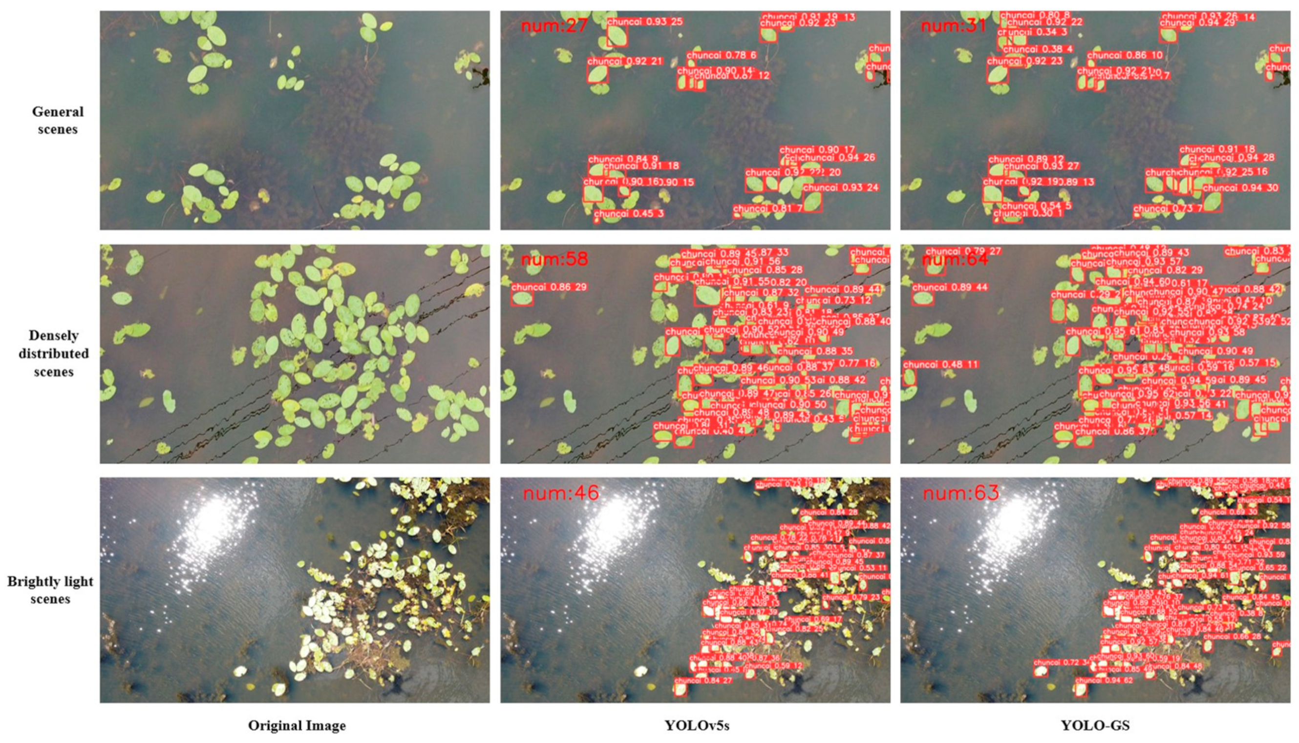 Agriculture 14 00971 g015