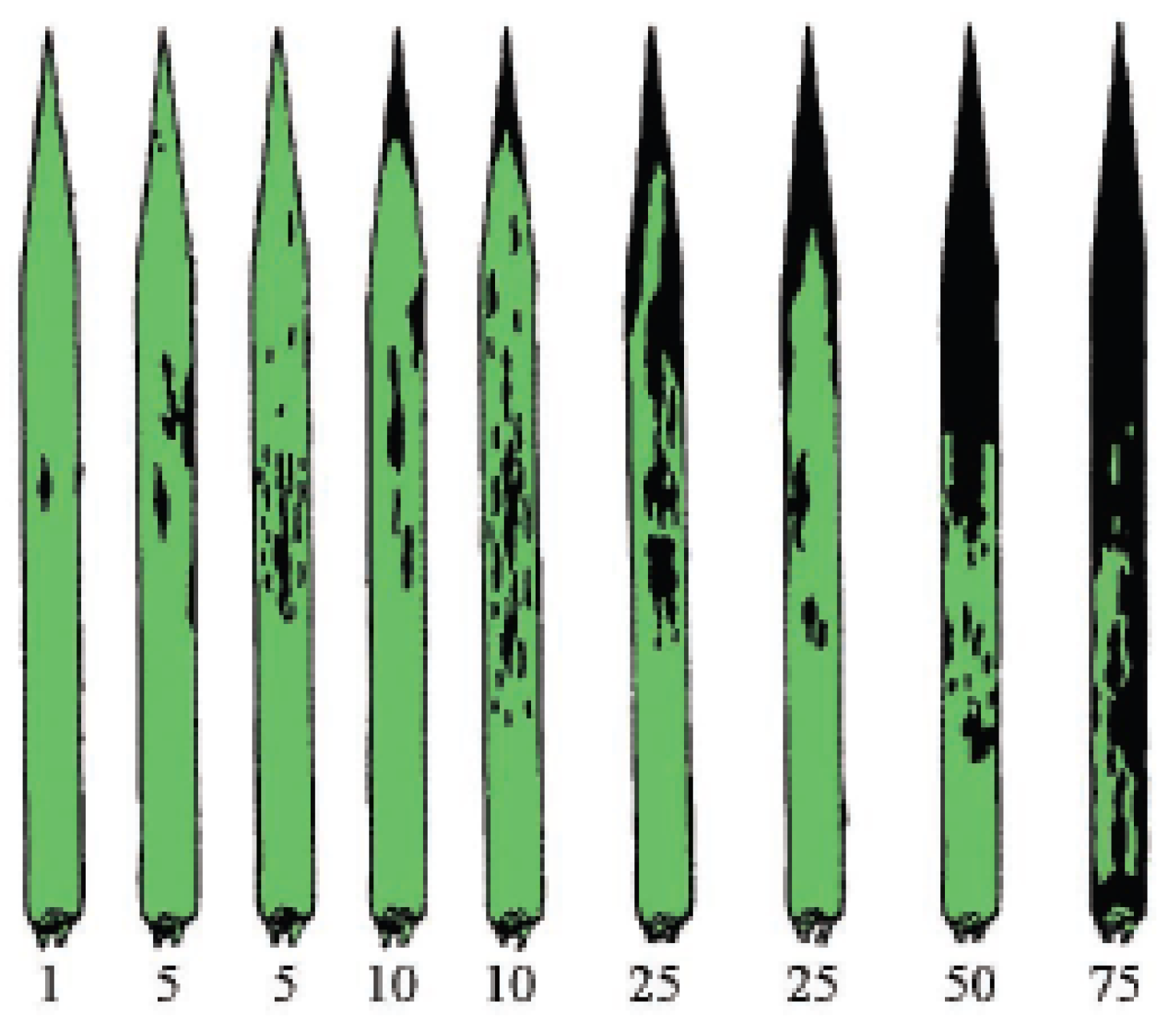 Agriculture 14 00988 g002