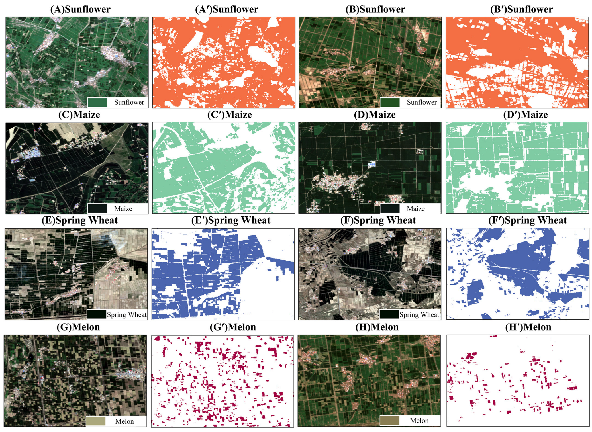 Agriculture 14 00990 g009