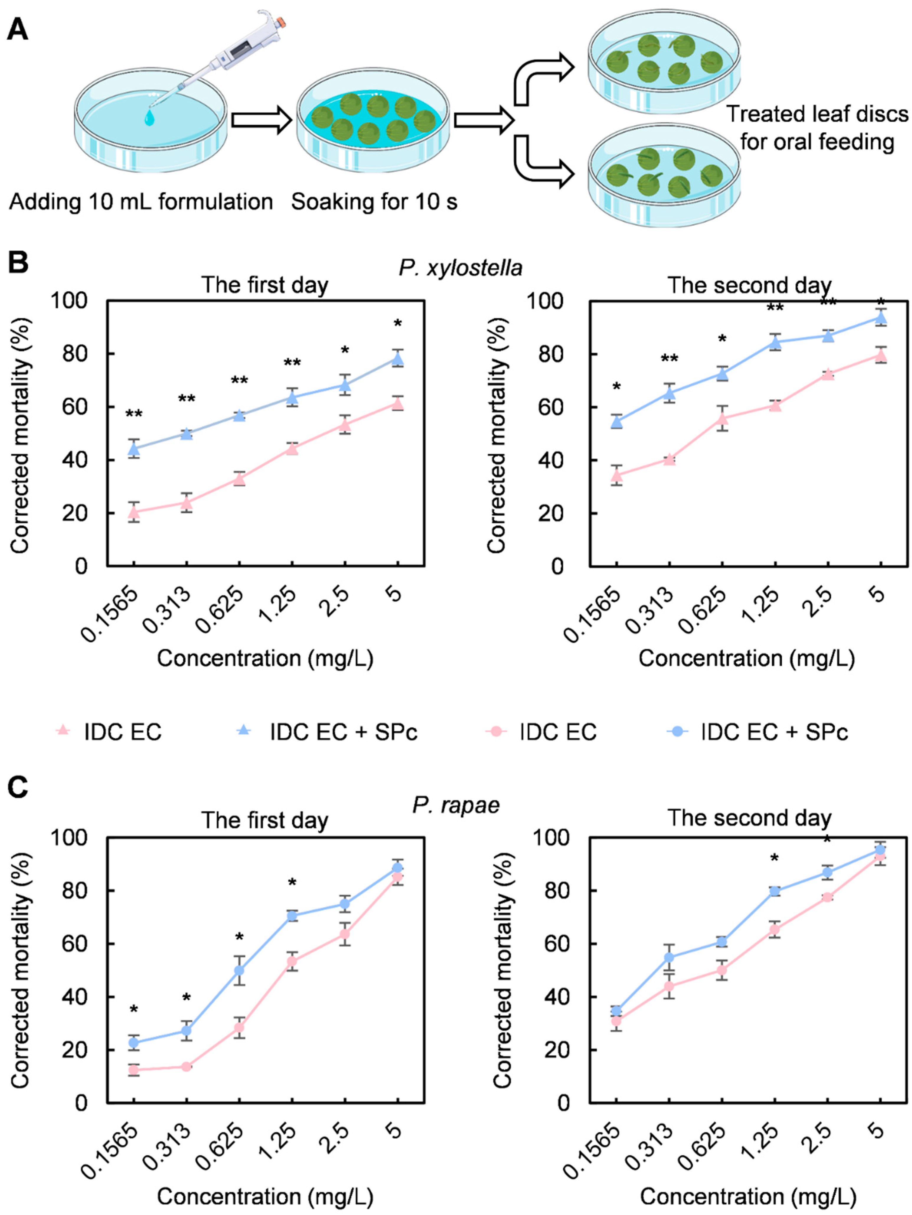 Agriculture 14 01006 g004