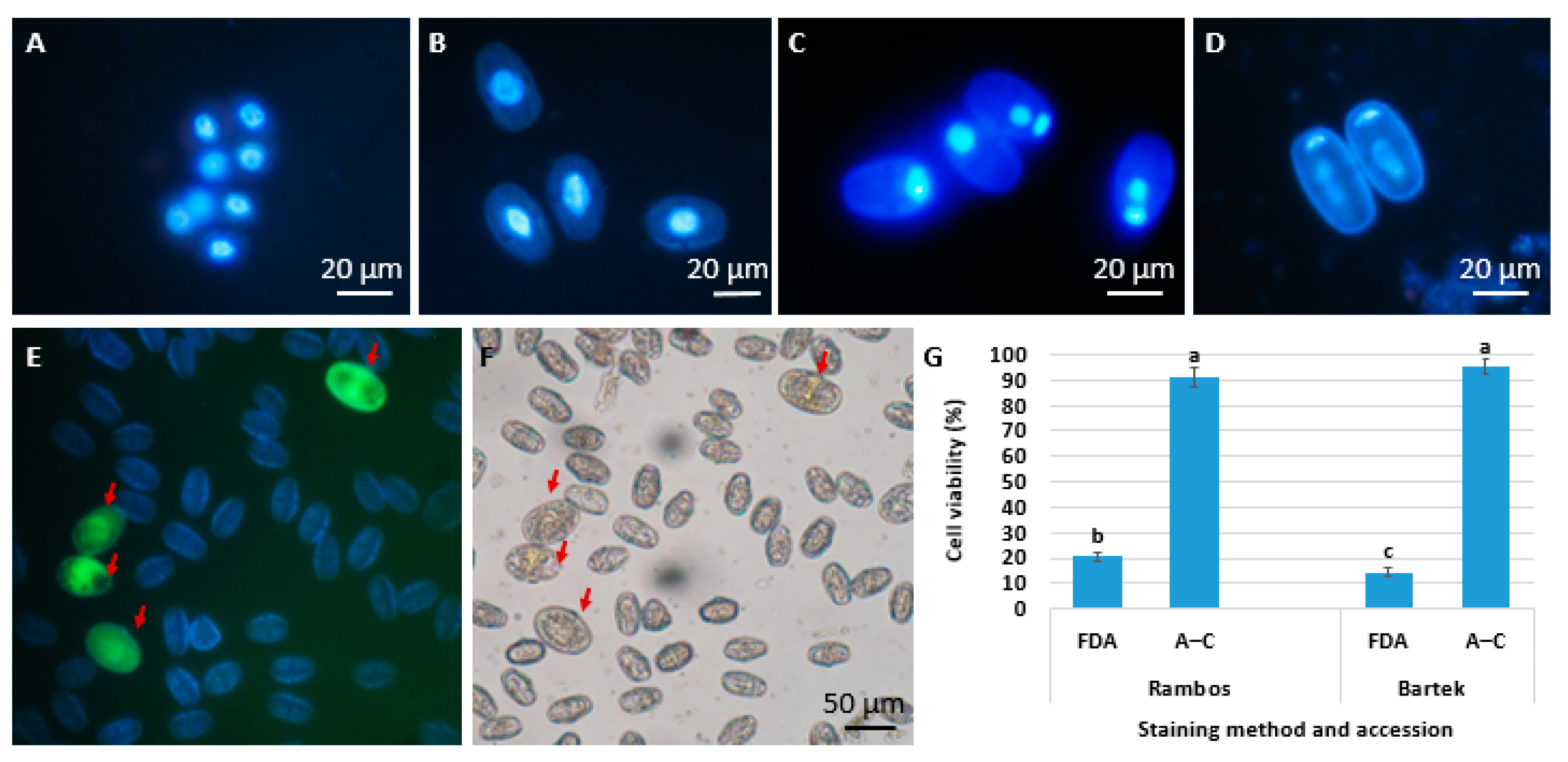 Agriculture 14 01031 g002 Agriculture 14 01031 g002