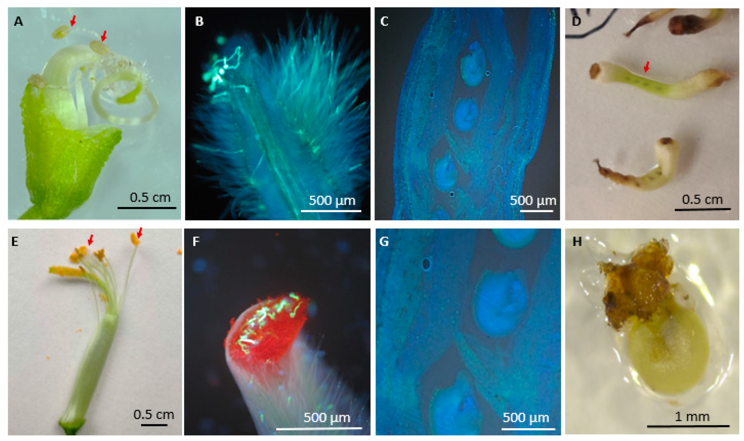 Agriculture 14 01031 g003 Agriculture 14 01031 g003