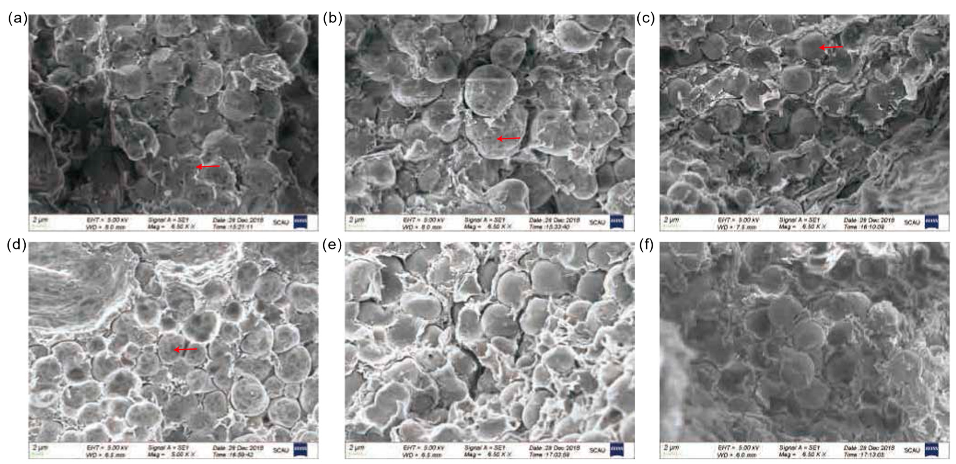 Agriculture 14 01039 g005