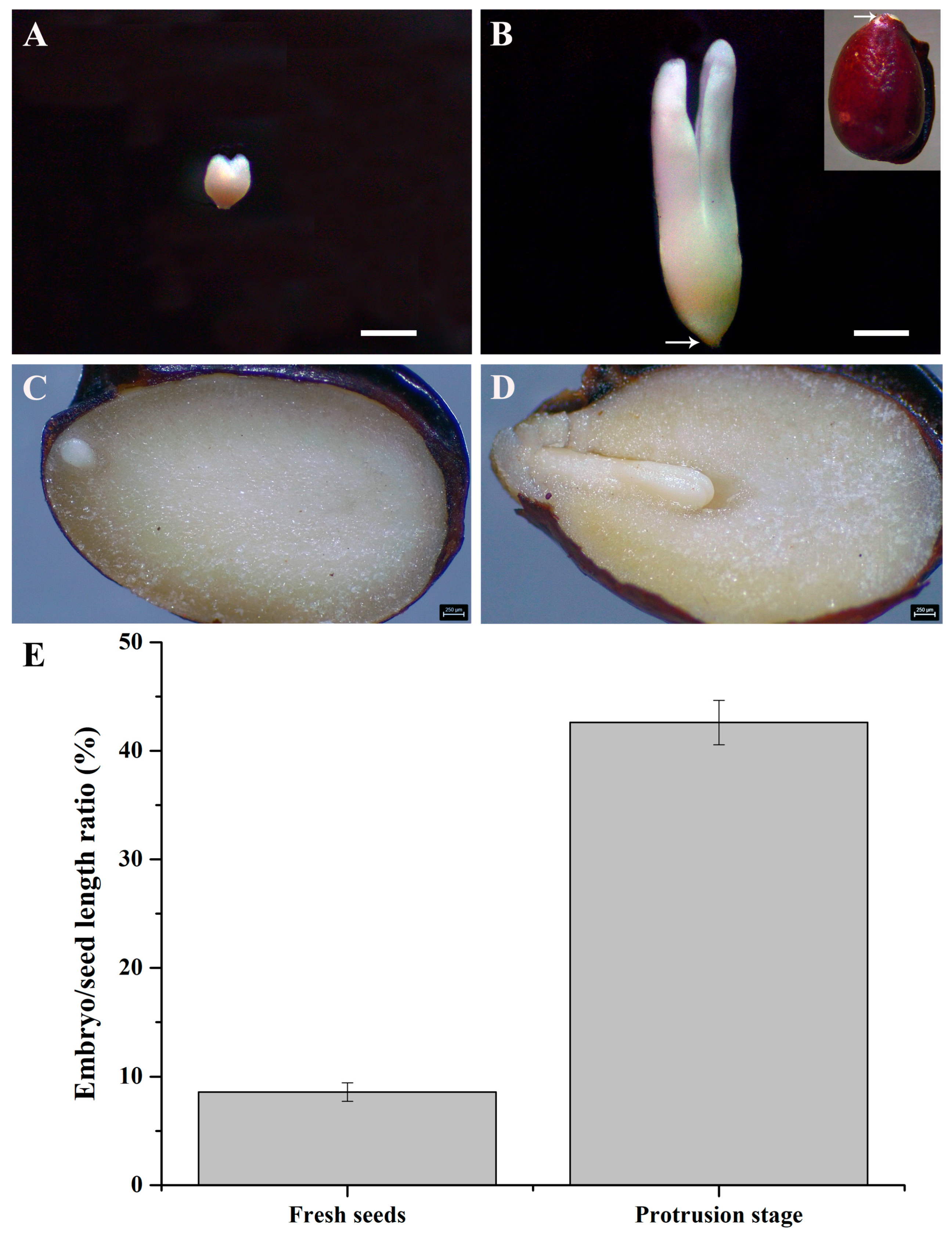 Agriculture 14 01041 g001