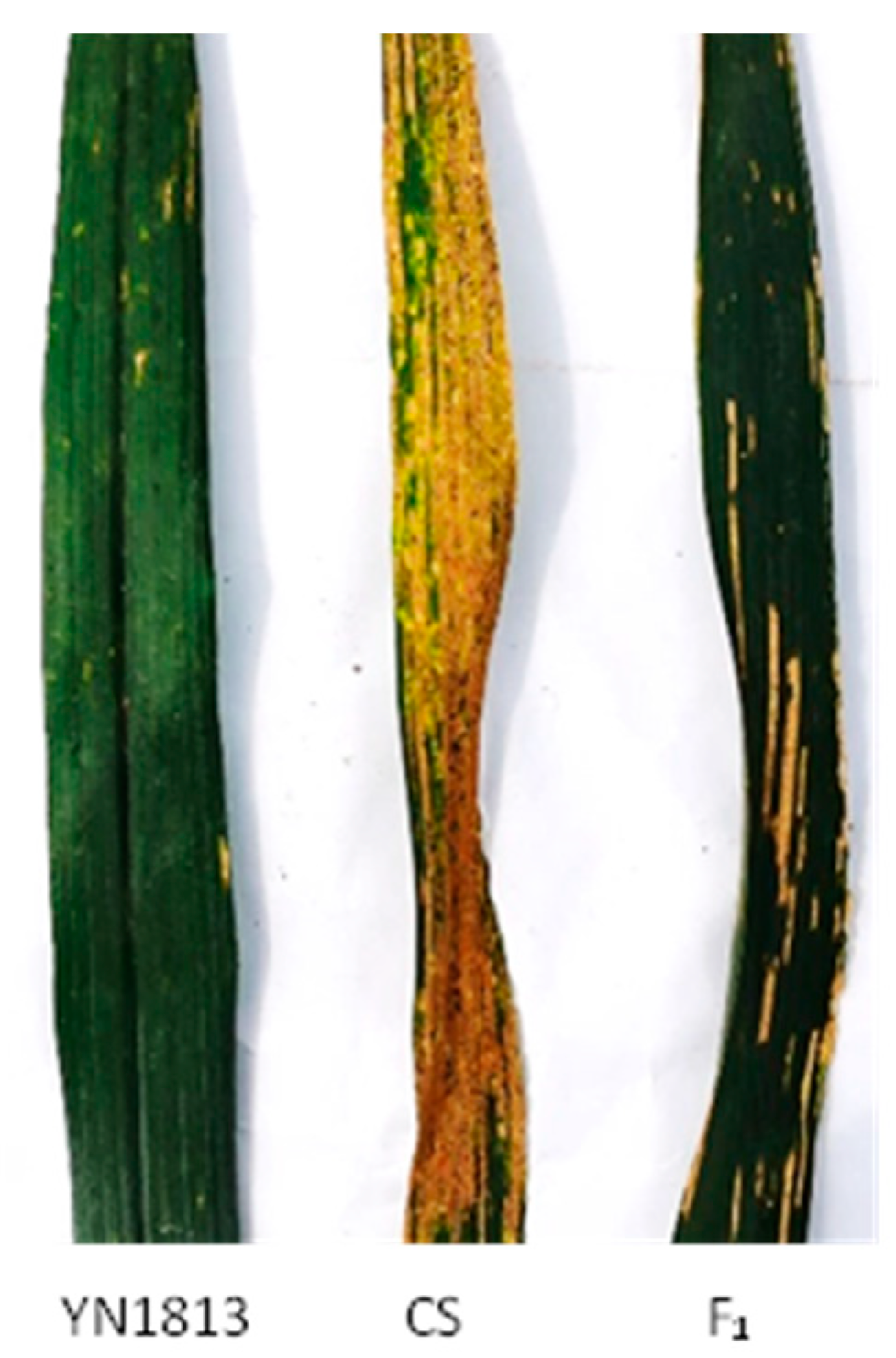 Agriculture 14 01044 g001