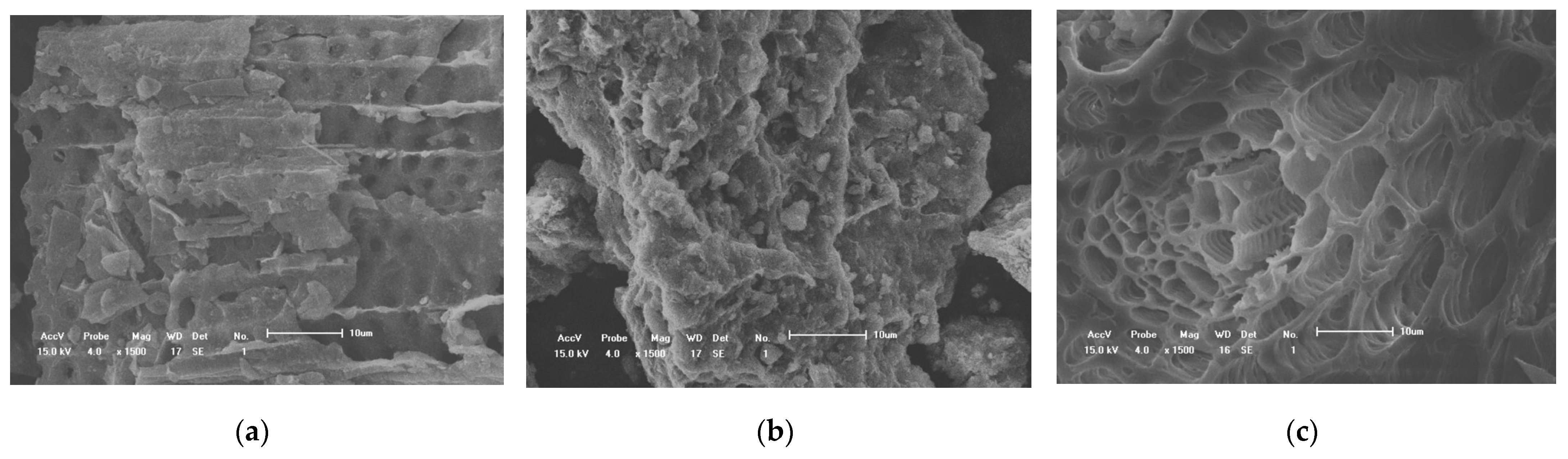 Agriculture 14 01068 g001