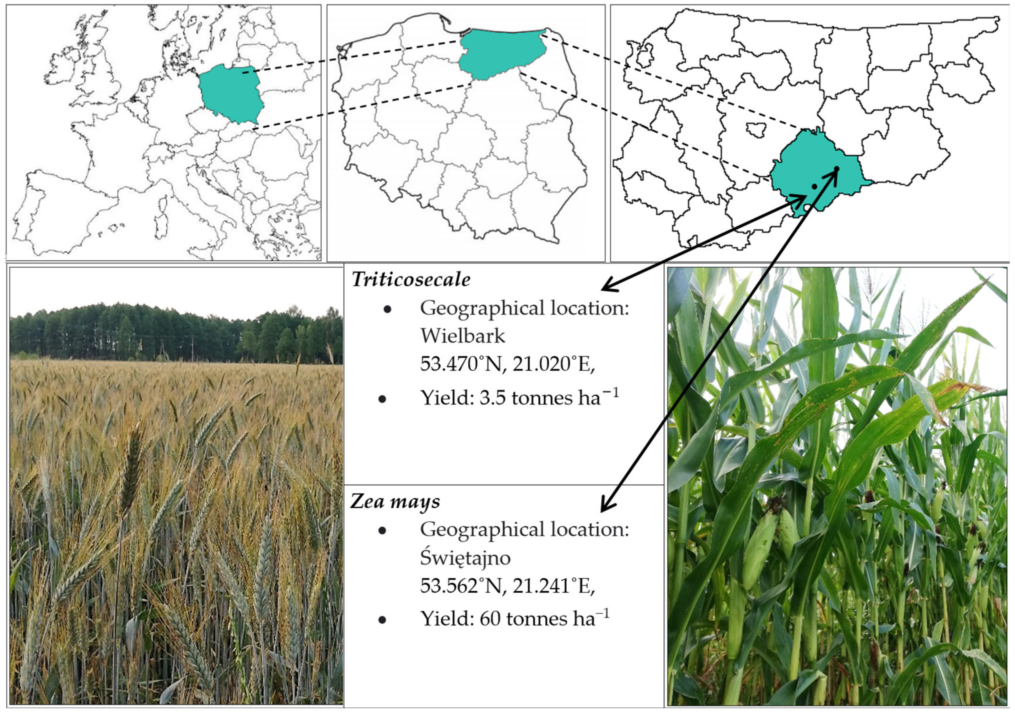 Agriculture 14 01070 g001