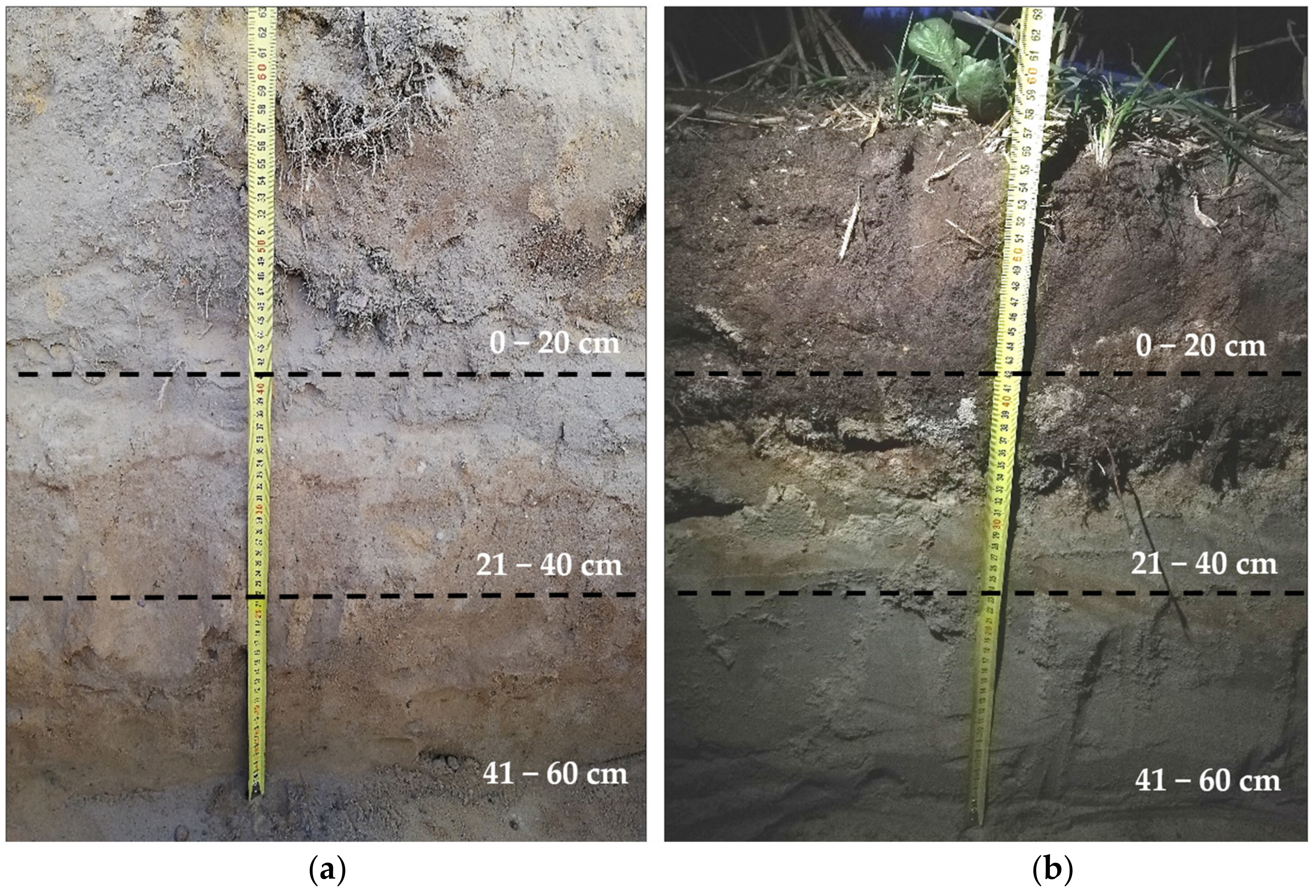 Agriculture 14 01070 g002