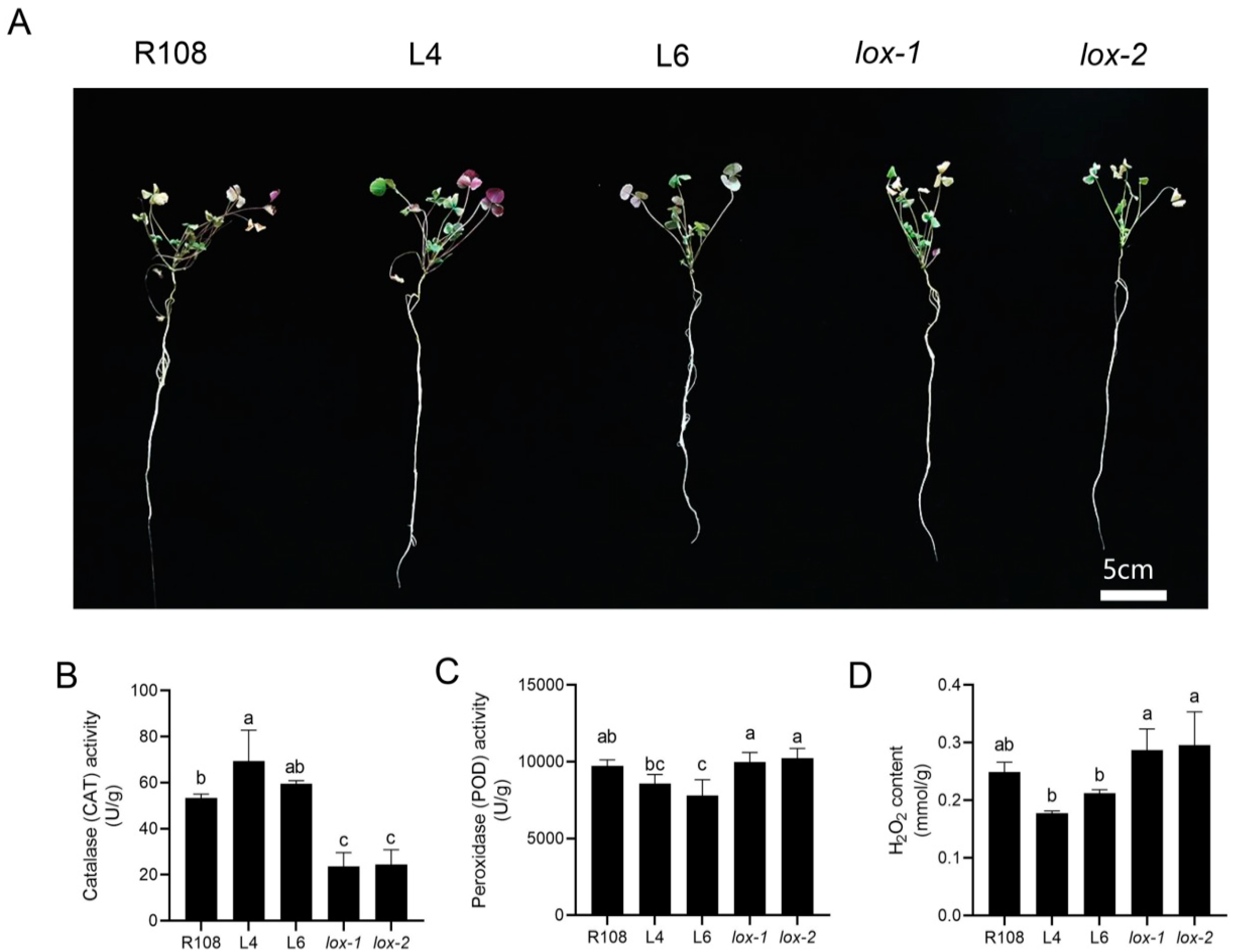 Agriculture 14 01076 g002