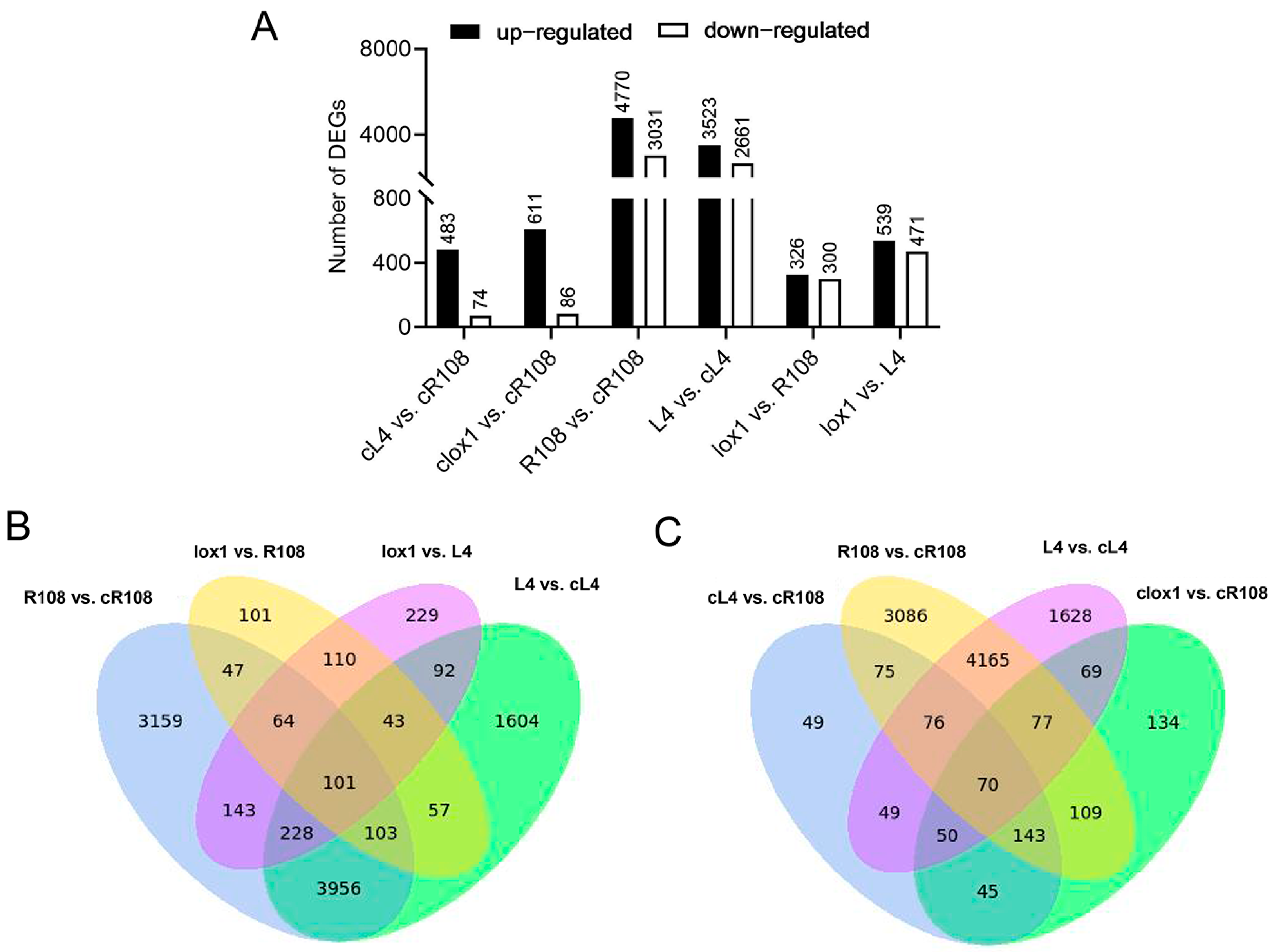 Agriculture 14 01076 g003