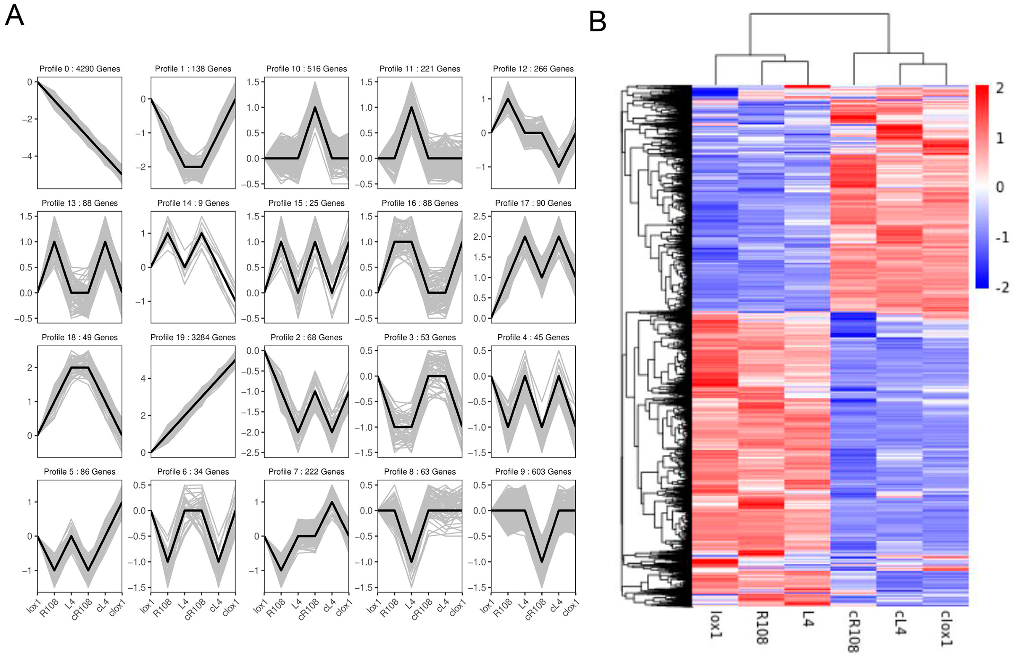 Agriculture 14 01076 g004