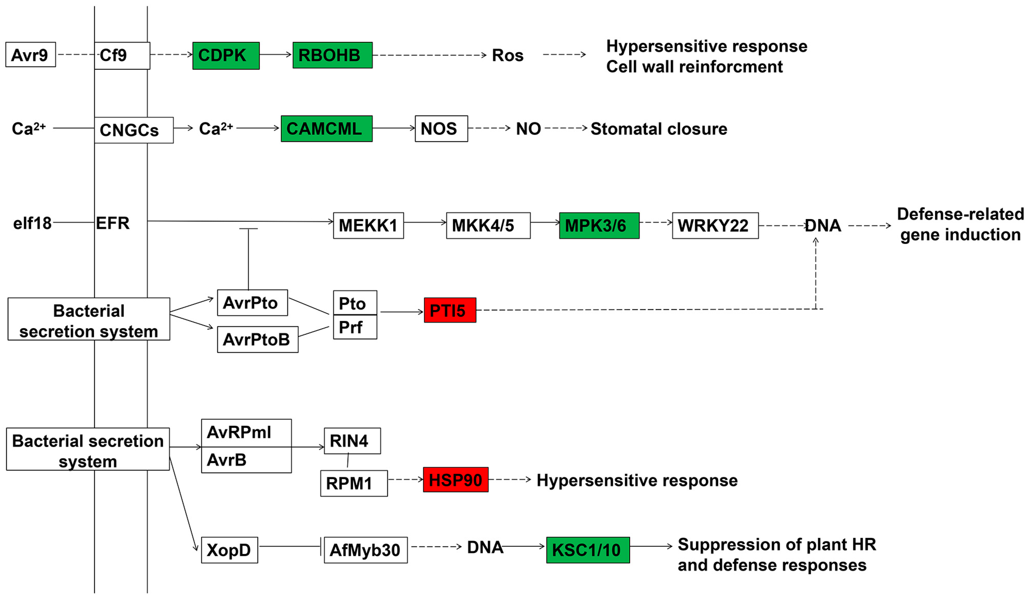 Agriculture 14 01076 g008
