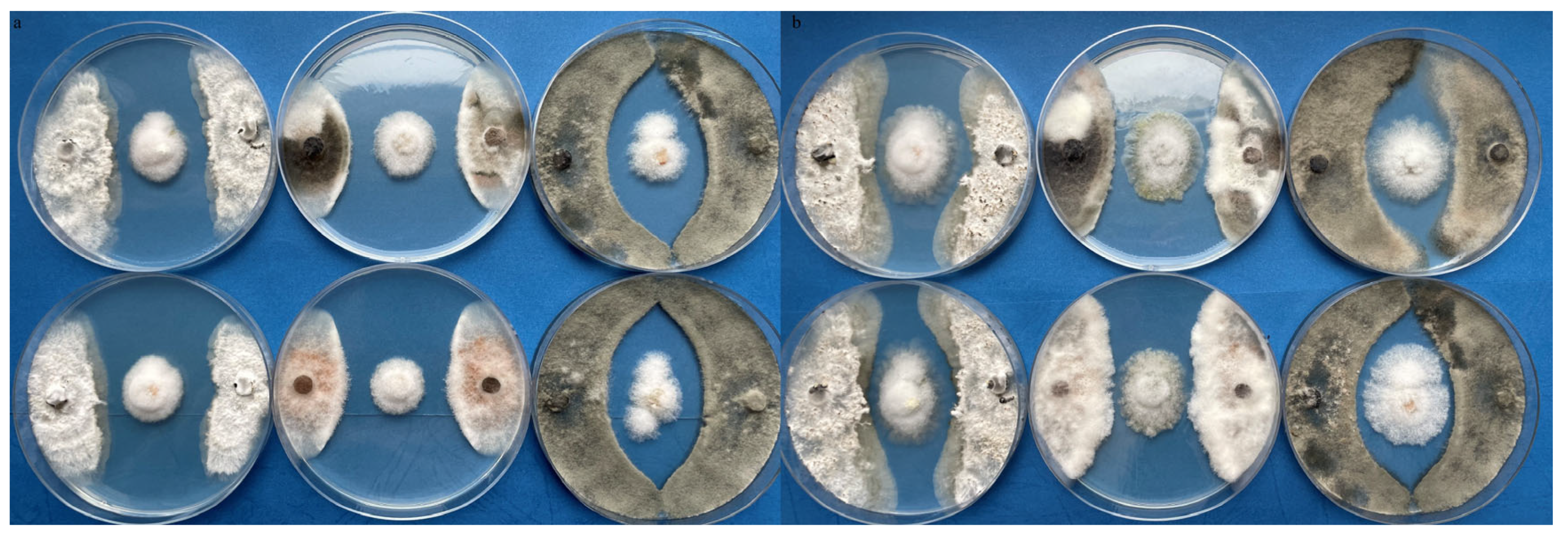 Agriculture 14 01080 g003