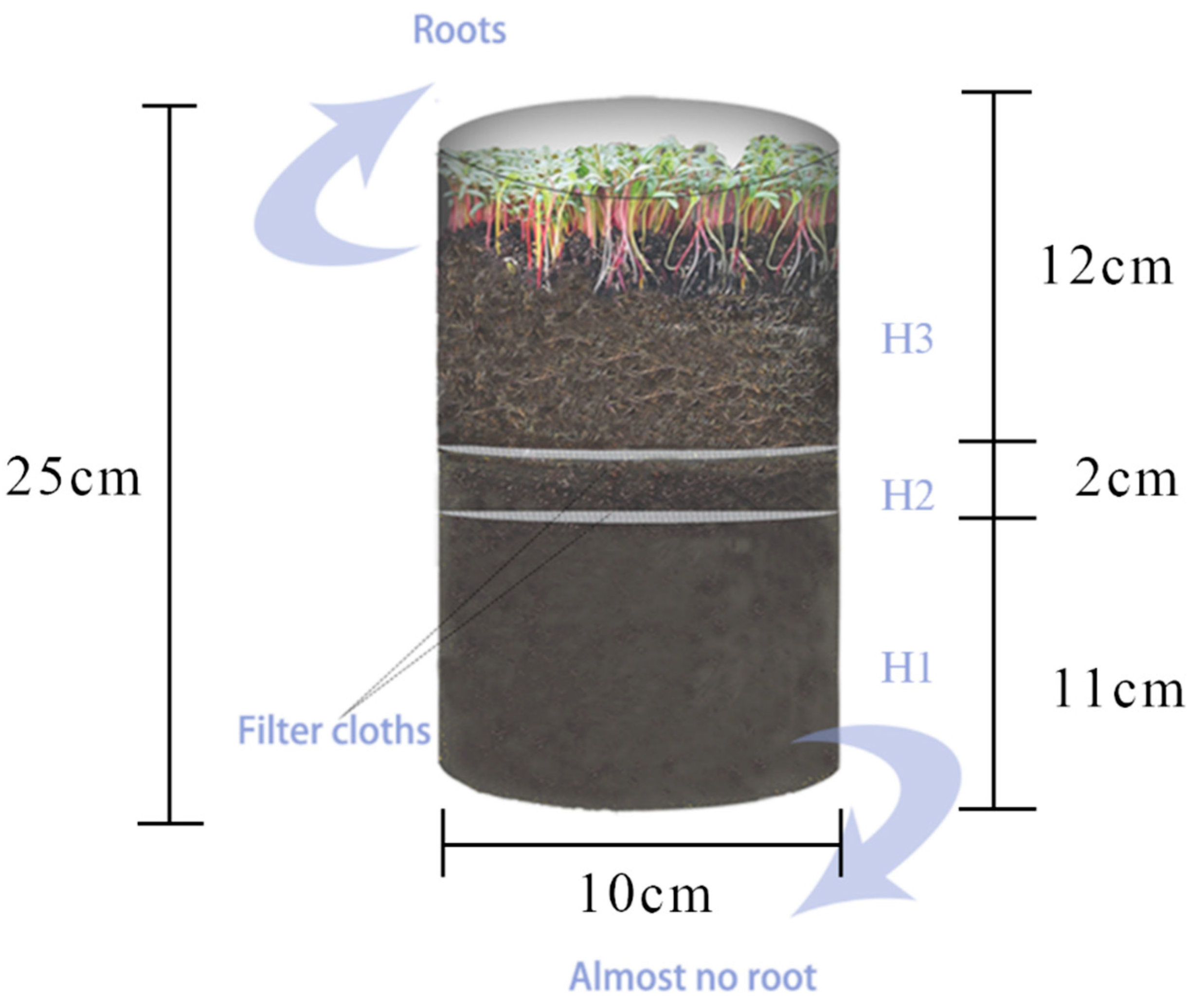 Agriculture 14 01094 g001