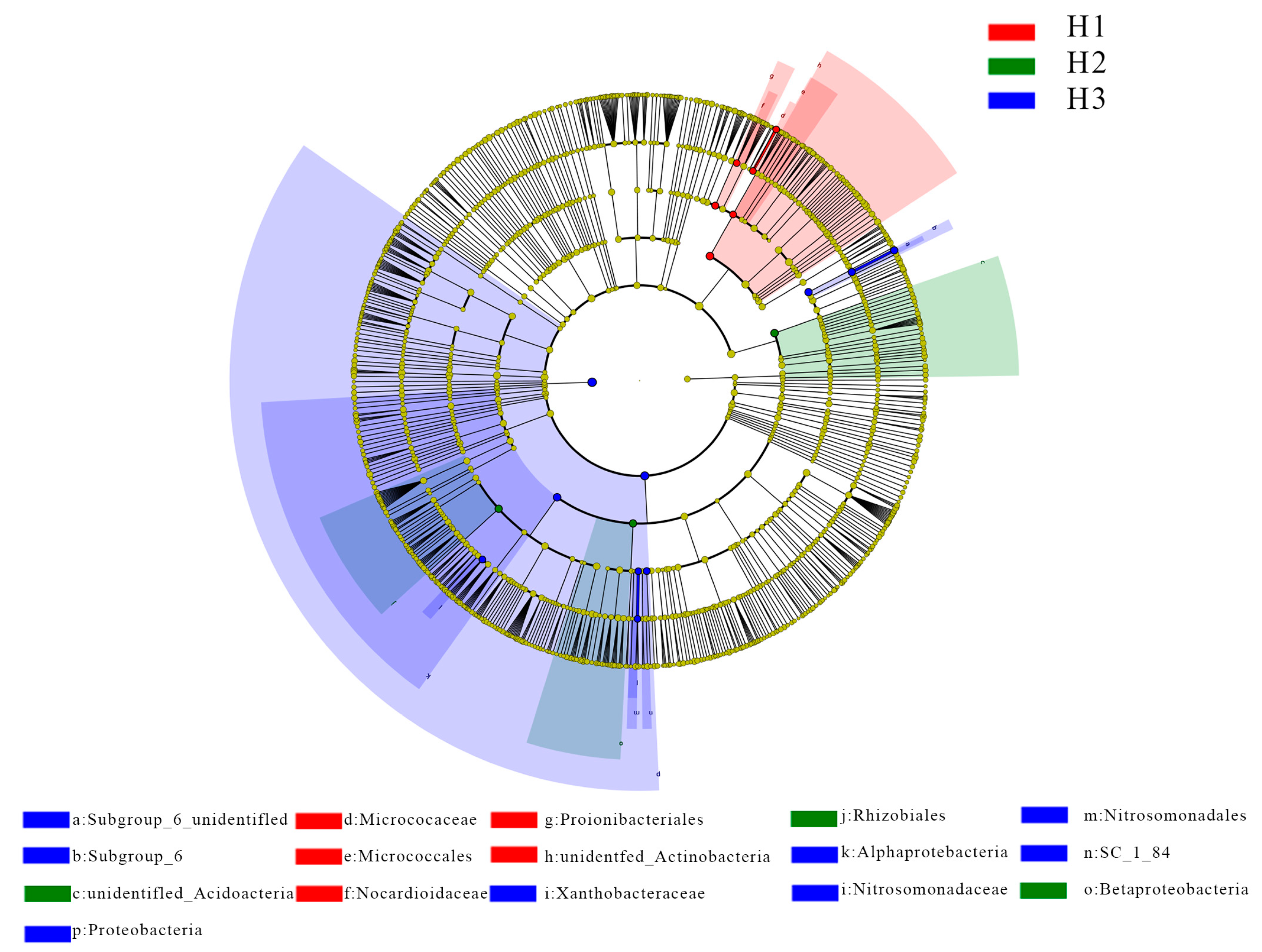 Agriculture 14 01094 g005