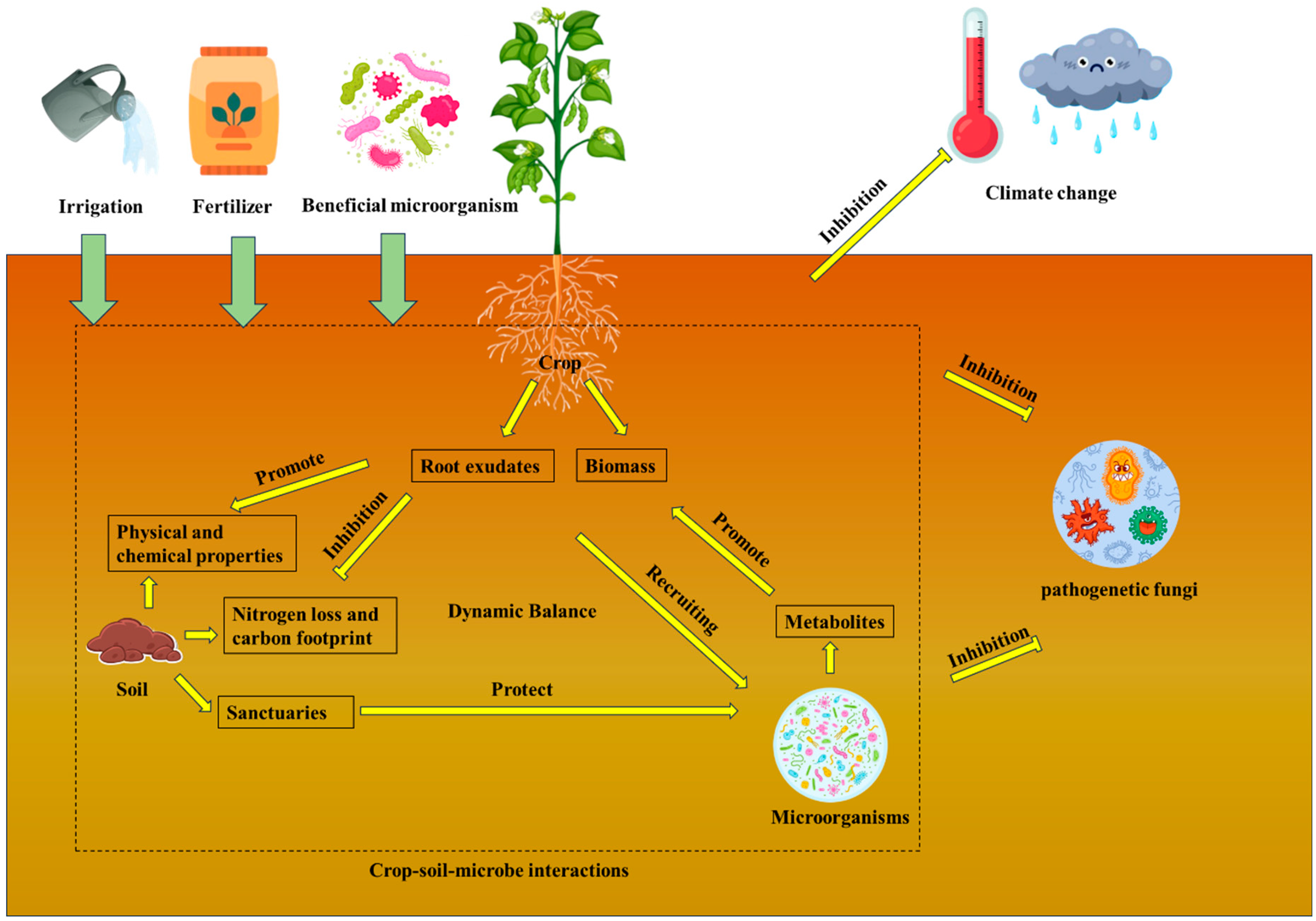 Agriculture 14 01108 g002