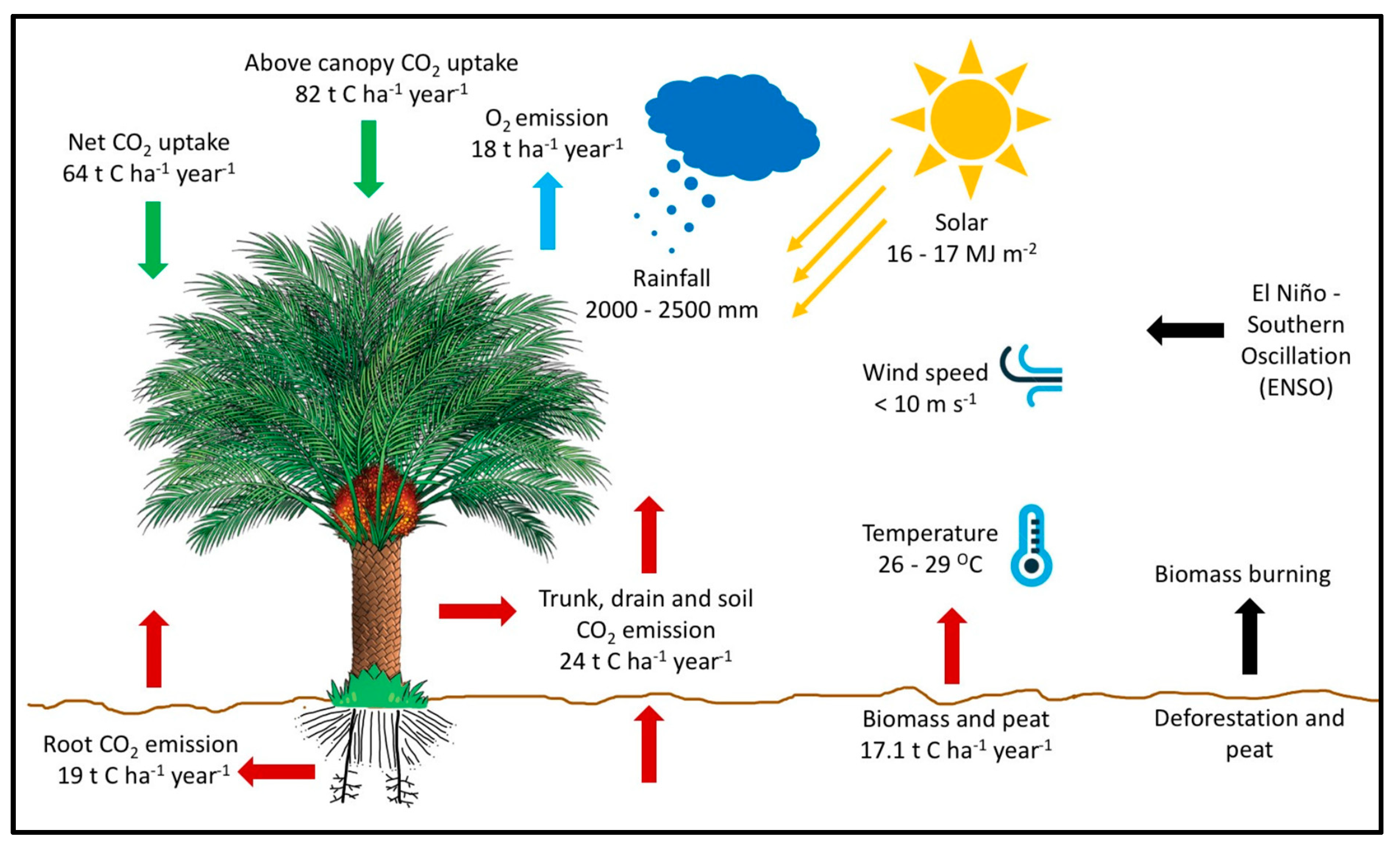 Agriculture 14 01133 g004