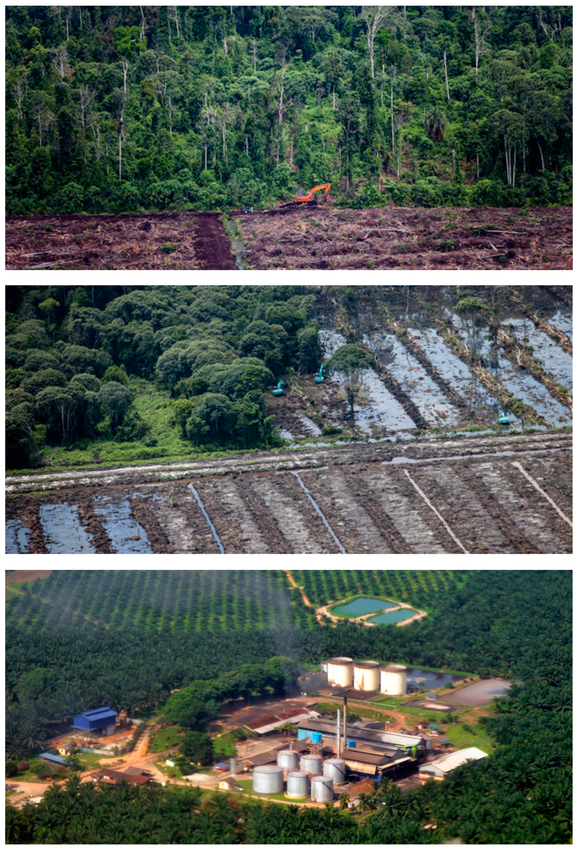 Agriculture 14 01133 g005