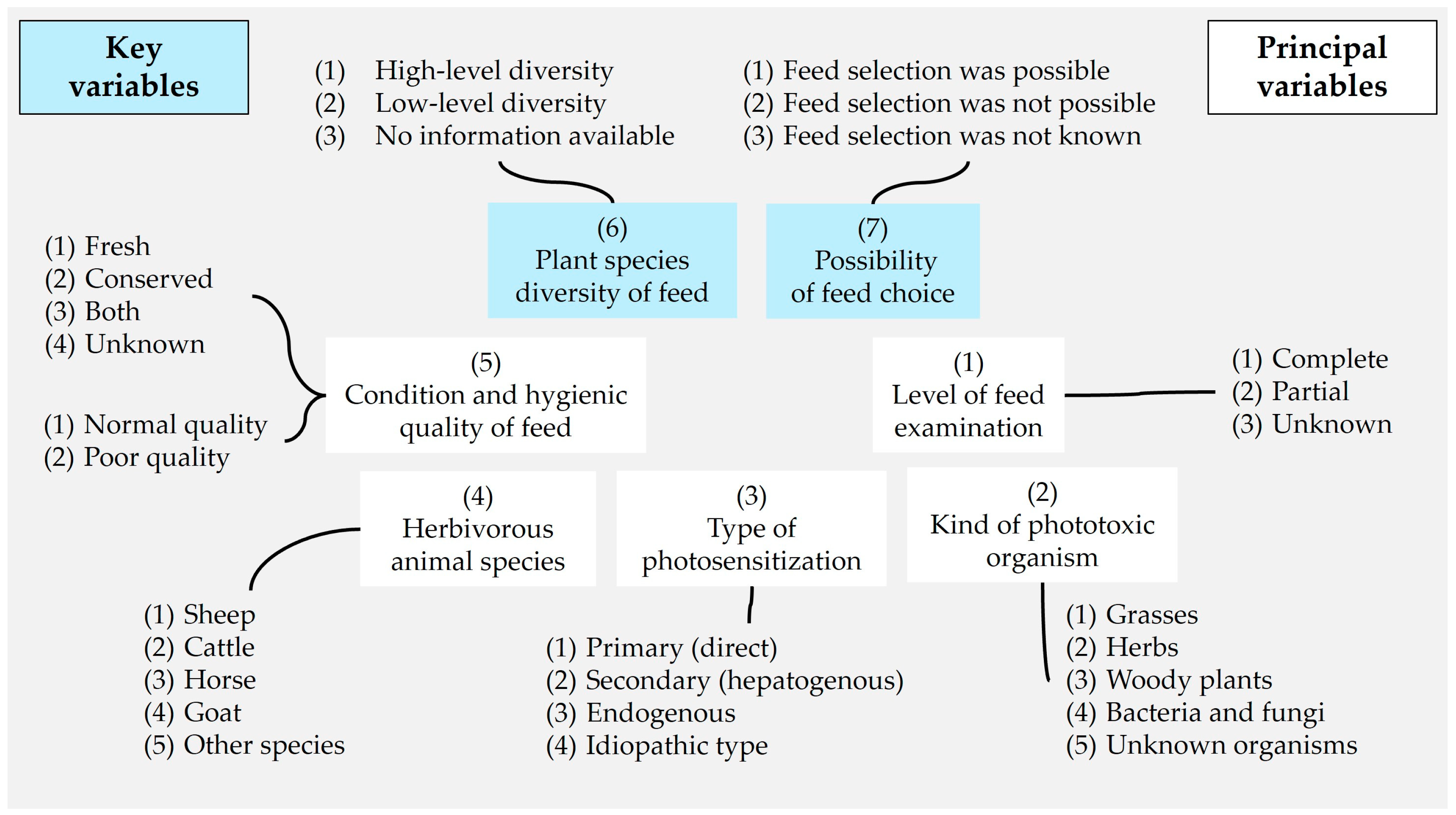 Agriculture 14 01137 g001 Agriculture 14 01137 g001