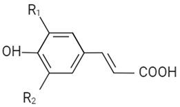 Agriculture 14 01142 i008