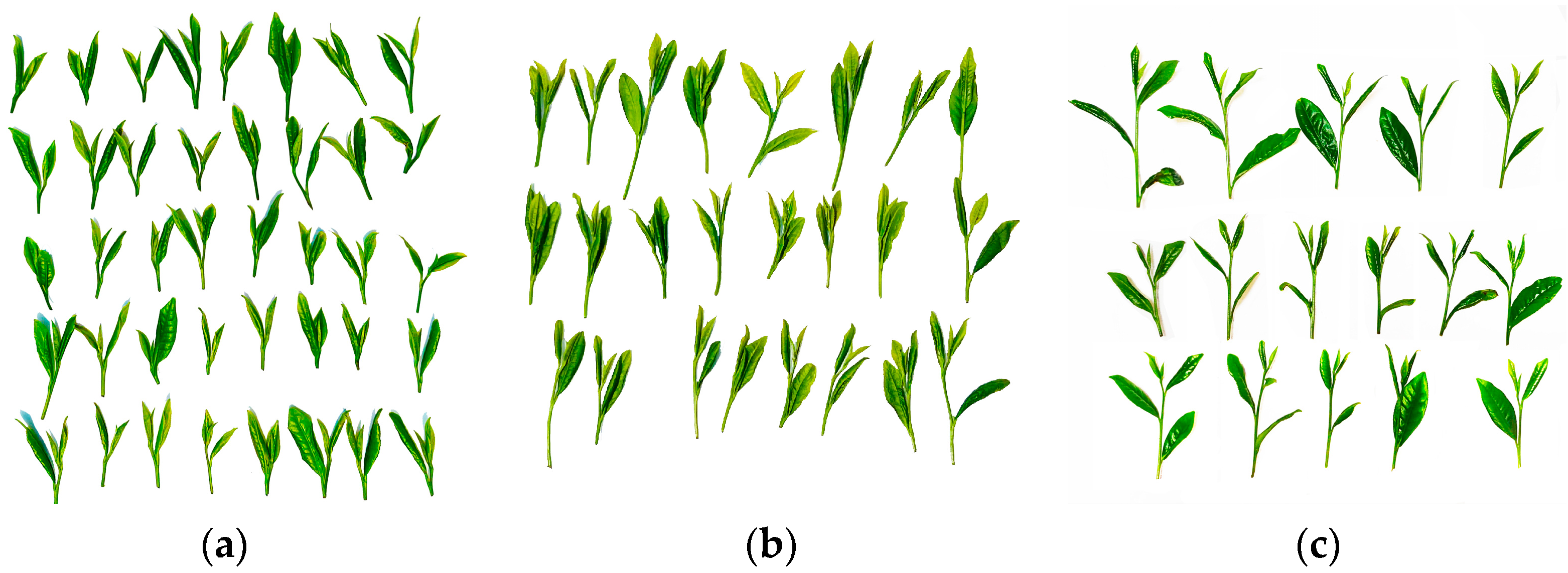 Agriculture 14 01147 g023