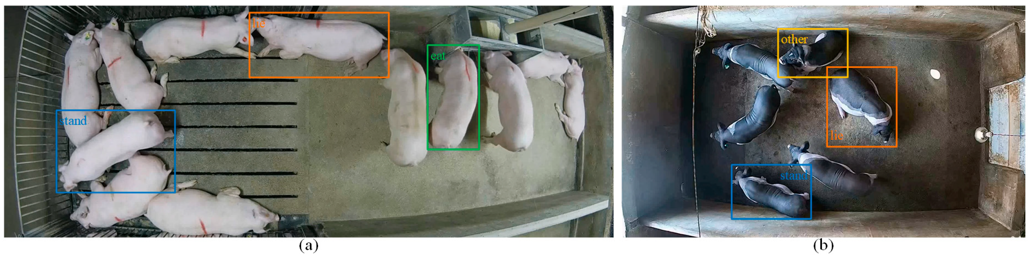 Agriculture 14 01158 g002