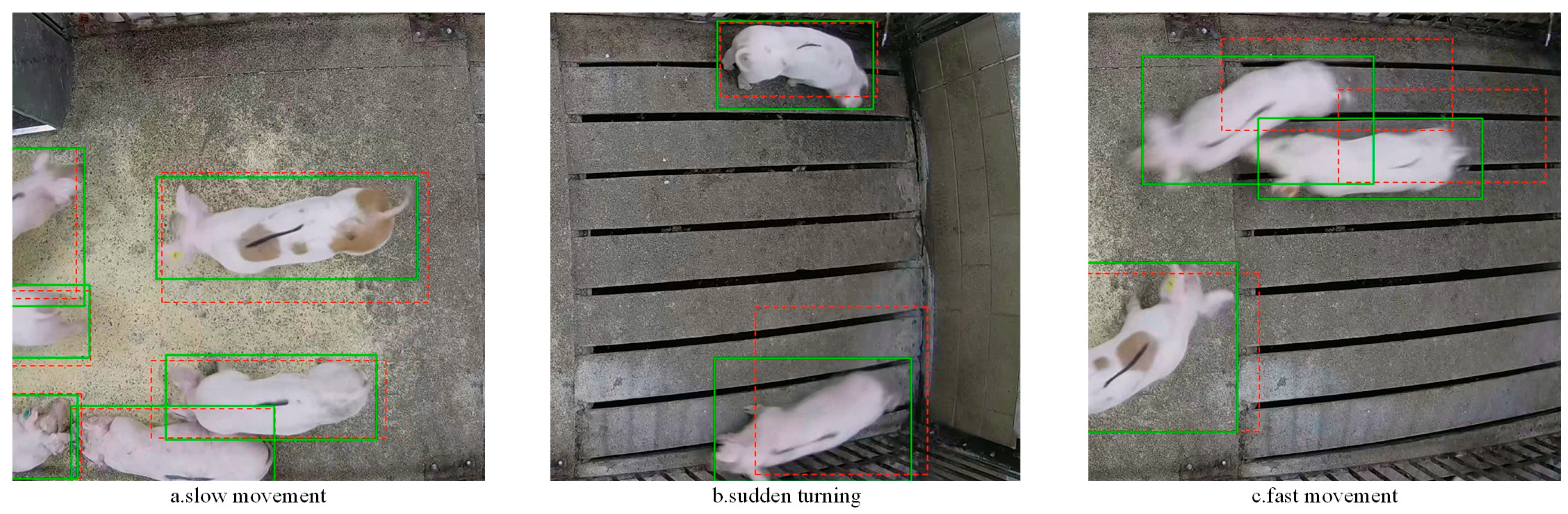 Agriculture 14 01158 g007