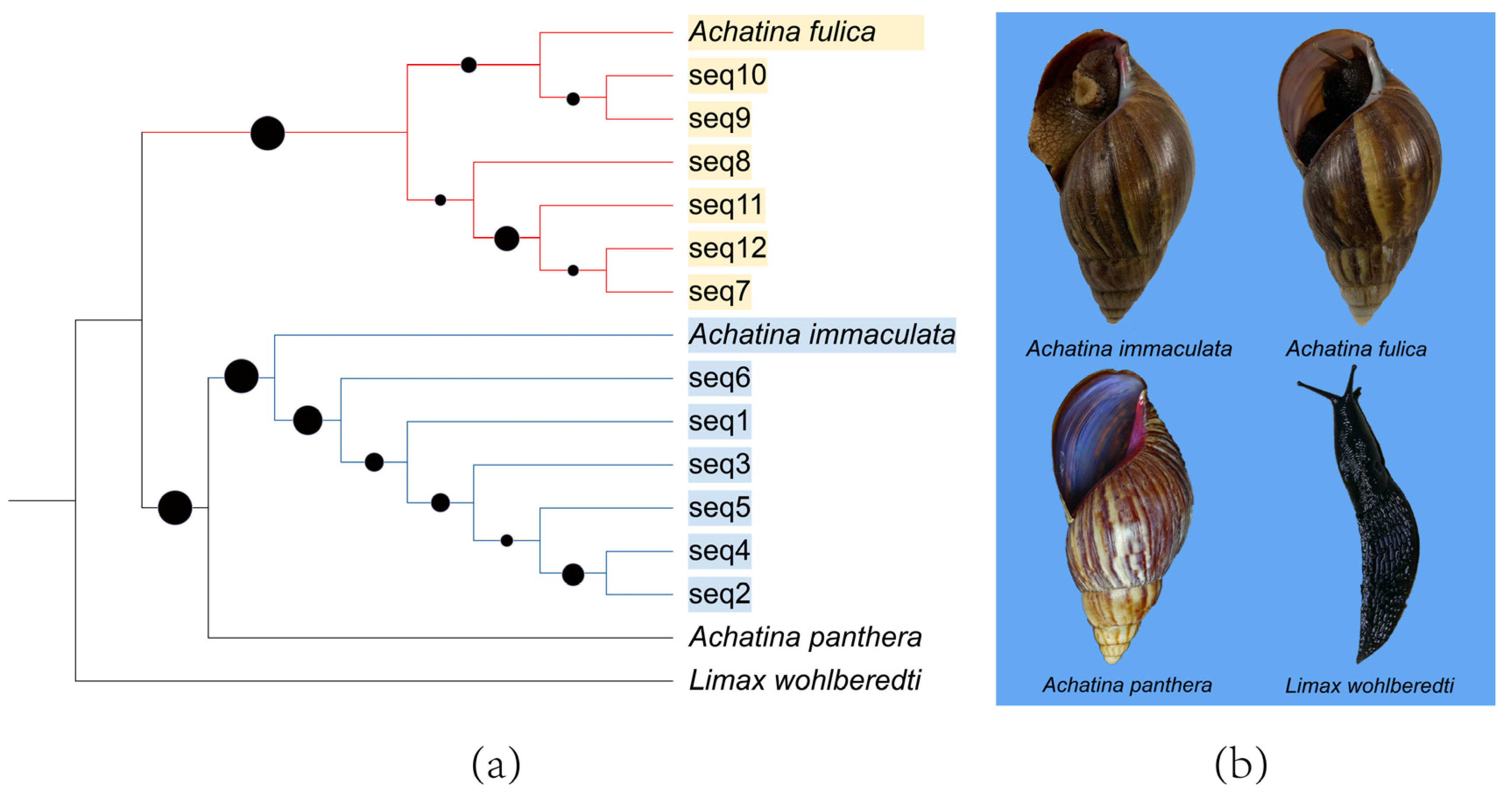 Agriculture 14 01217 g001