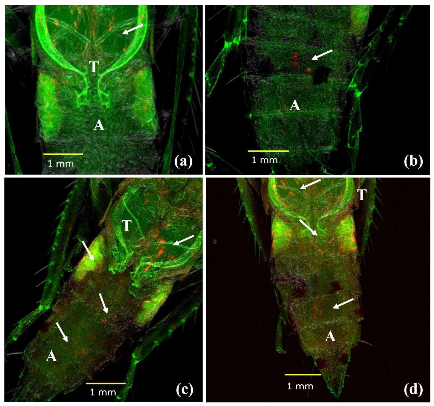 Agriculture 14 01236 g003