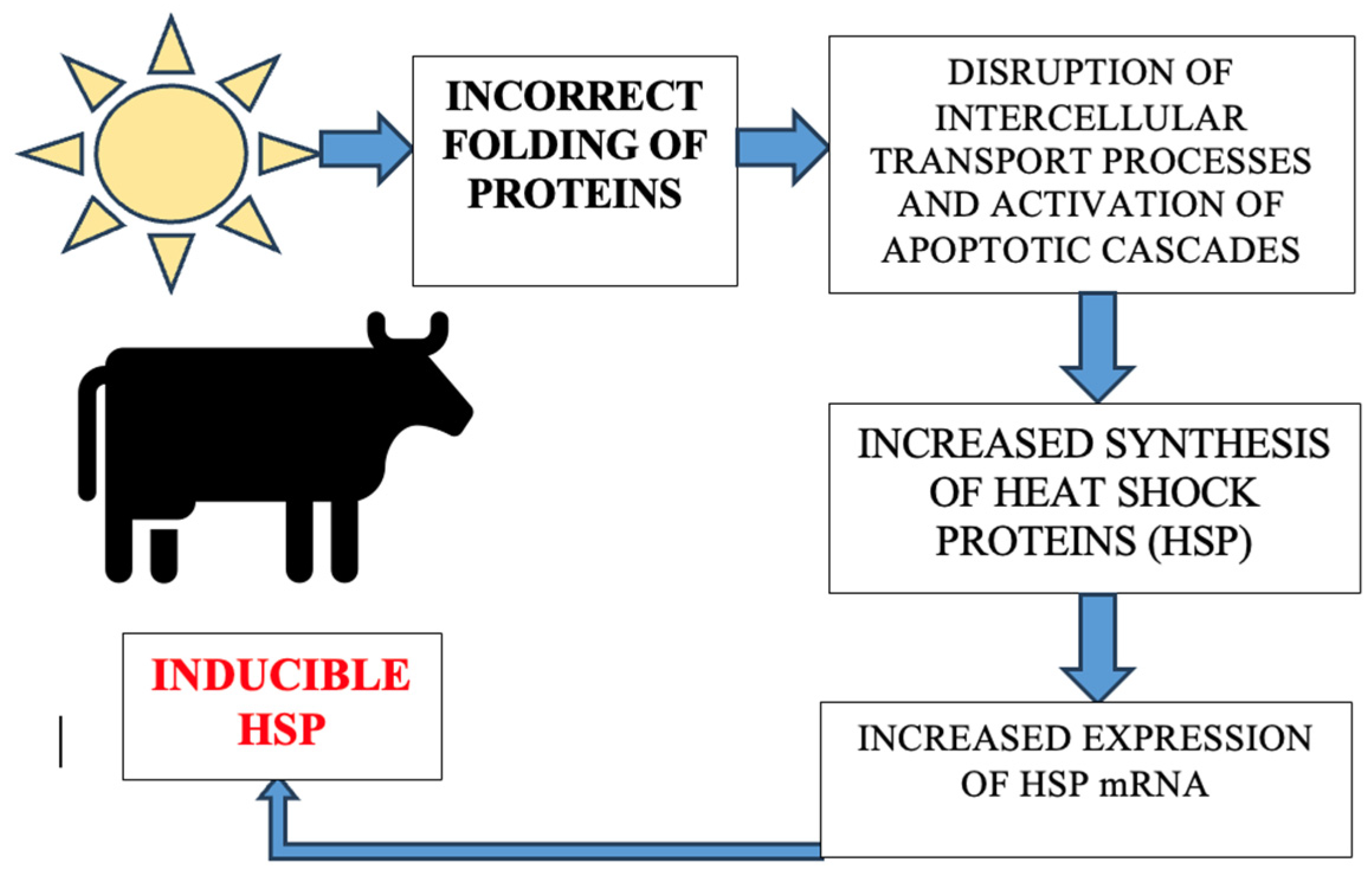 Agriculture 14 01241 g002