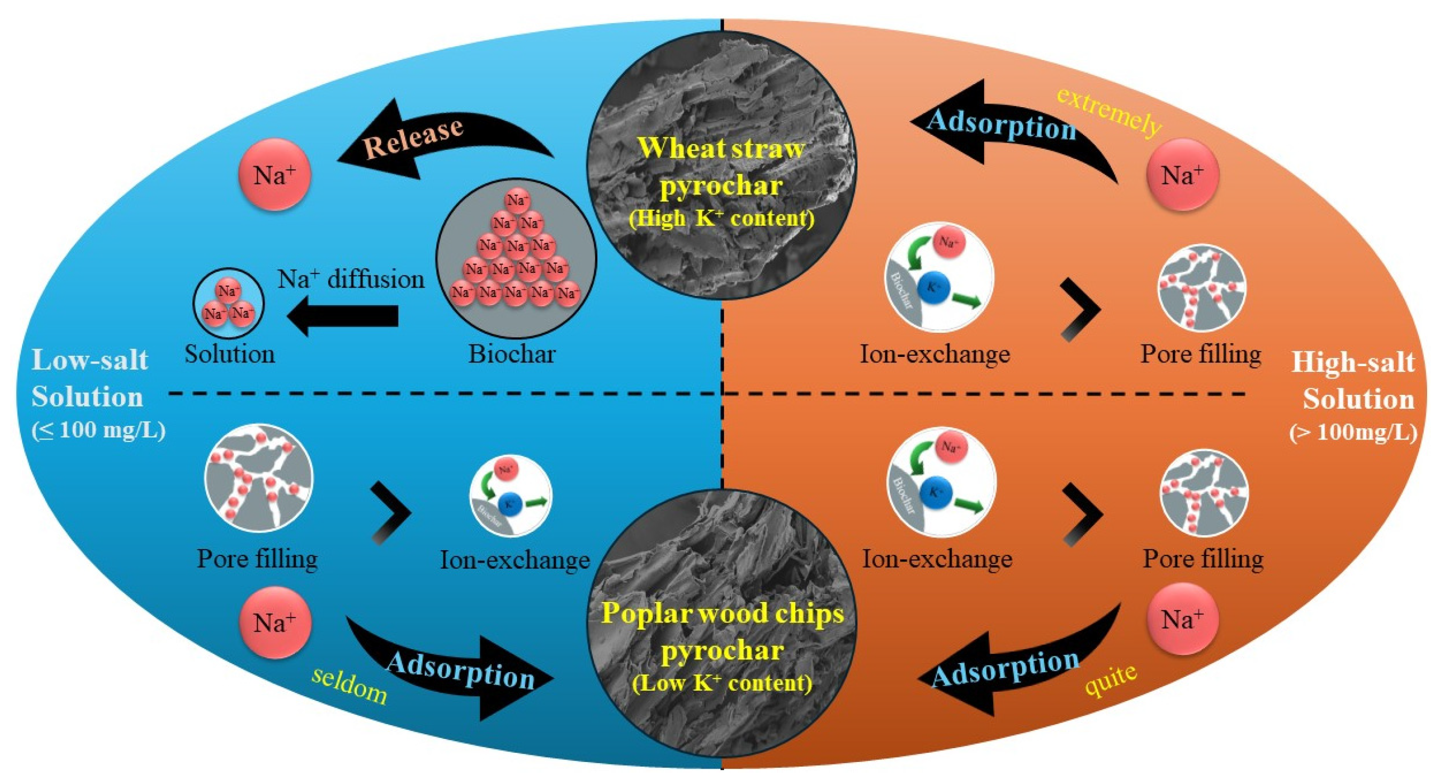 Agriculture 14 01246 g004