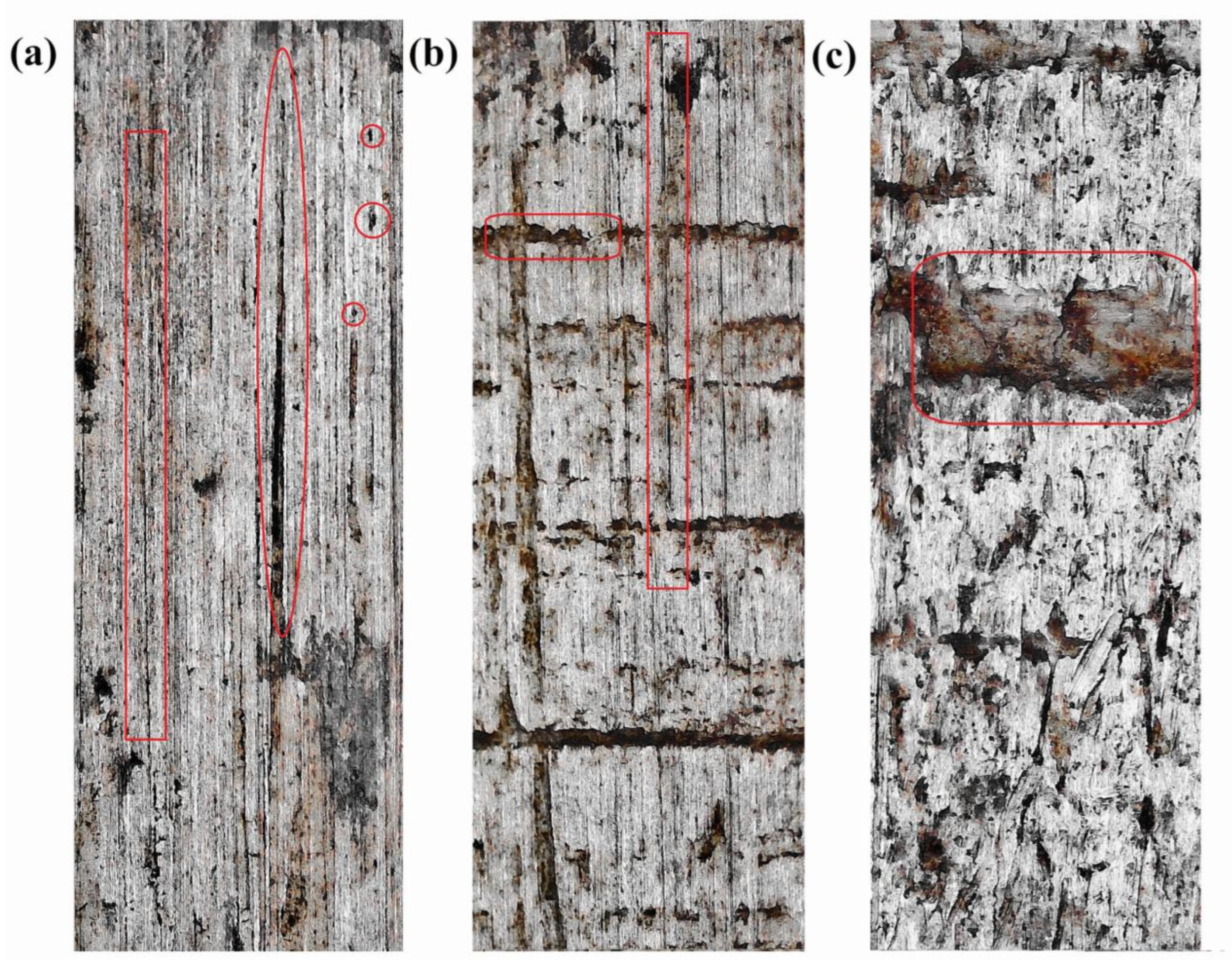 Agriculture 14 01260 g006