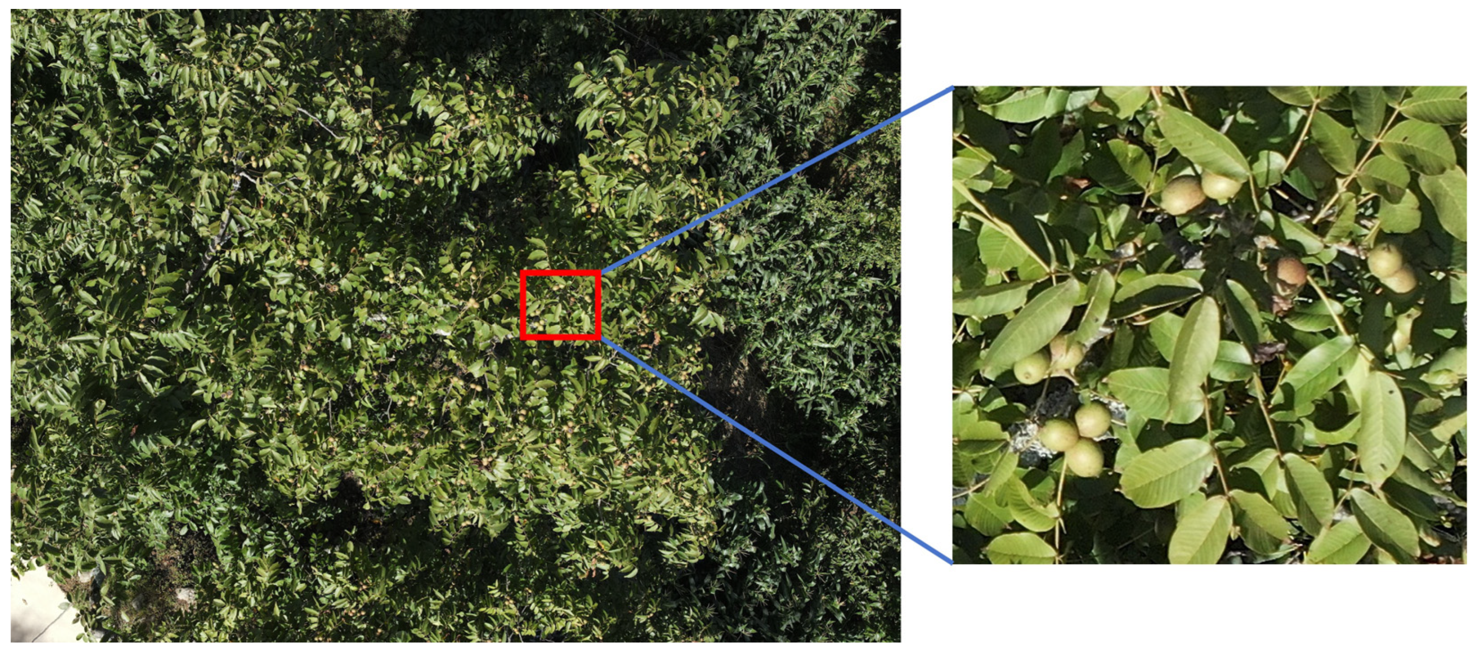 Agriculture 14 01279 g003