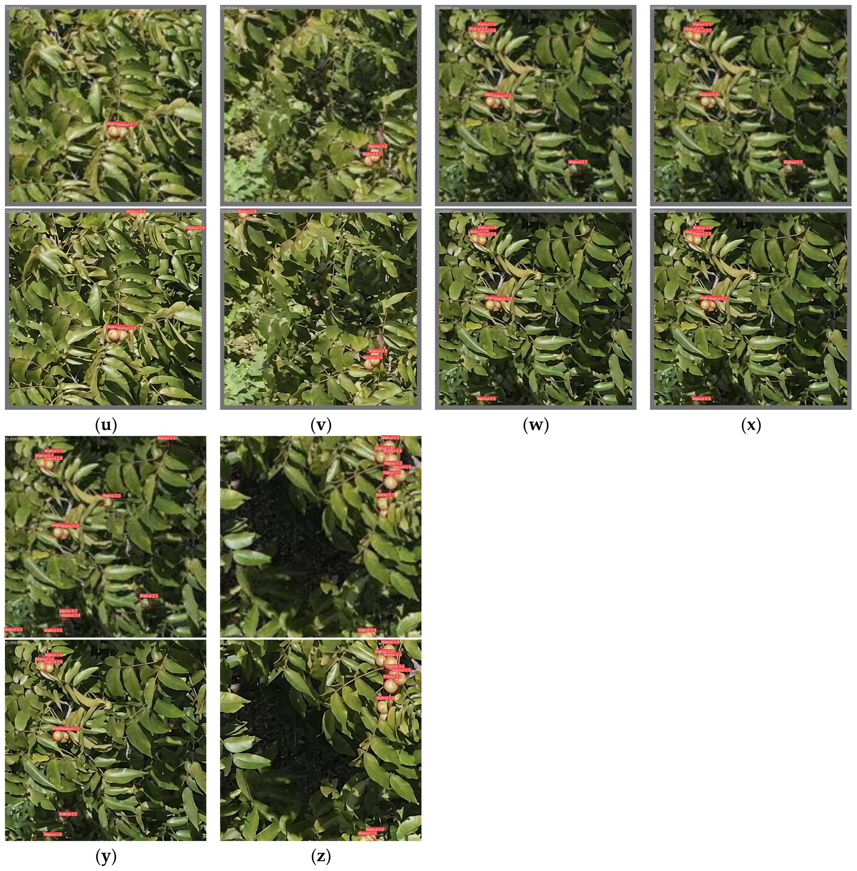 Agriculture 14 01279 g010d