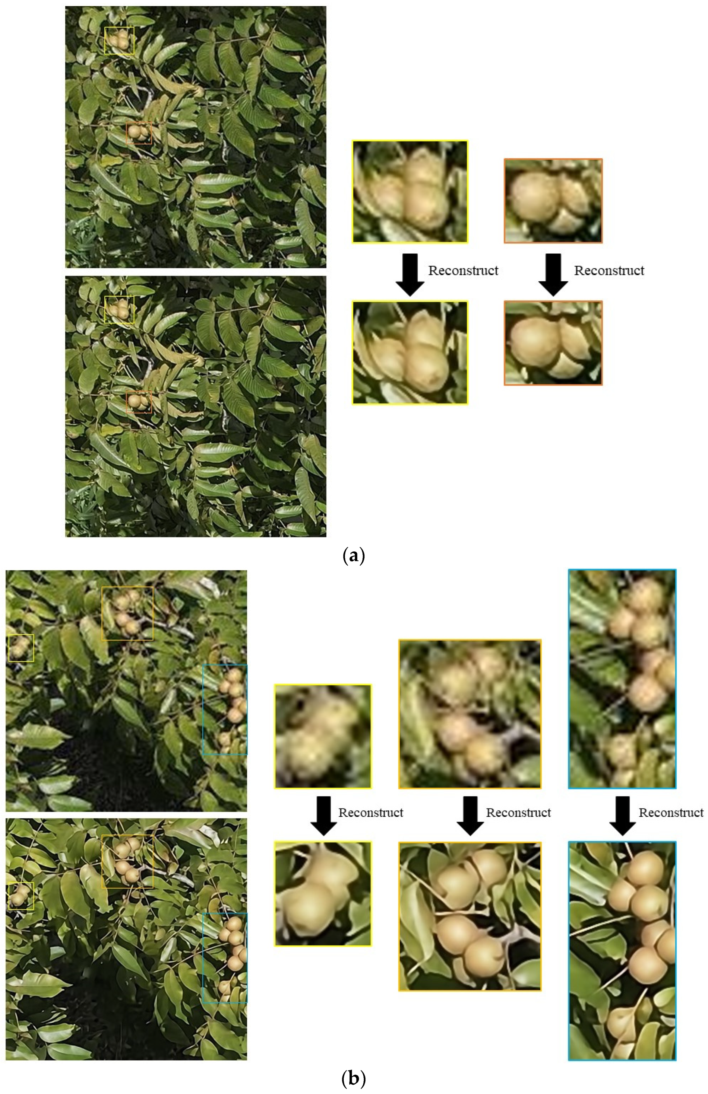 Agriculture 14 01279 g011