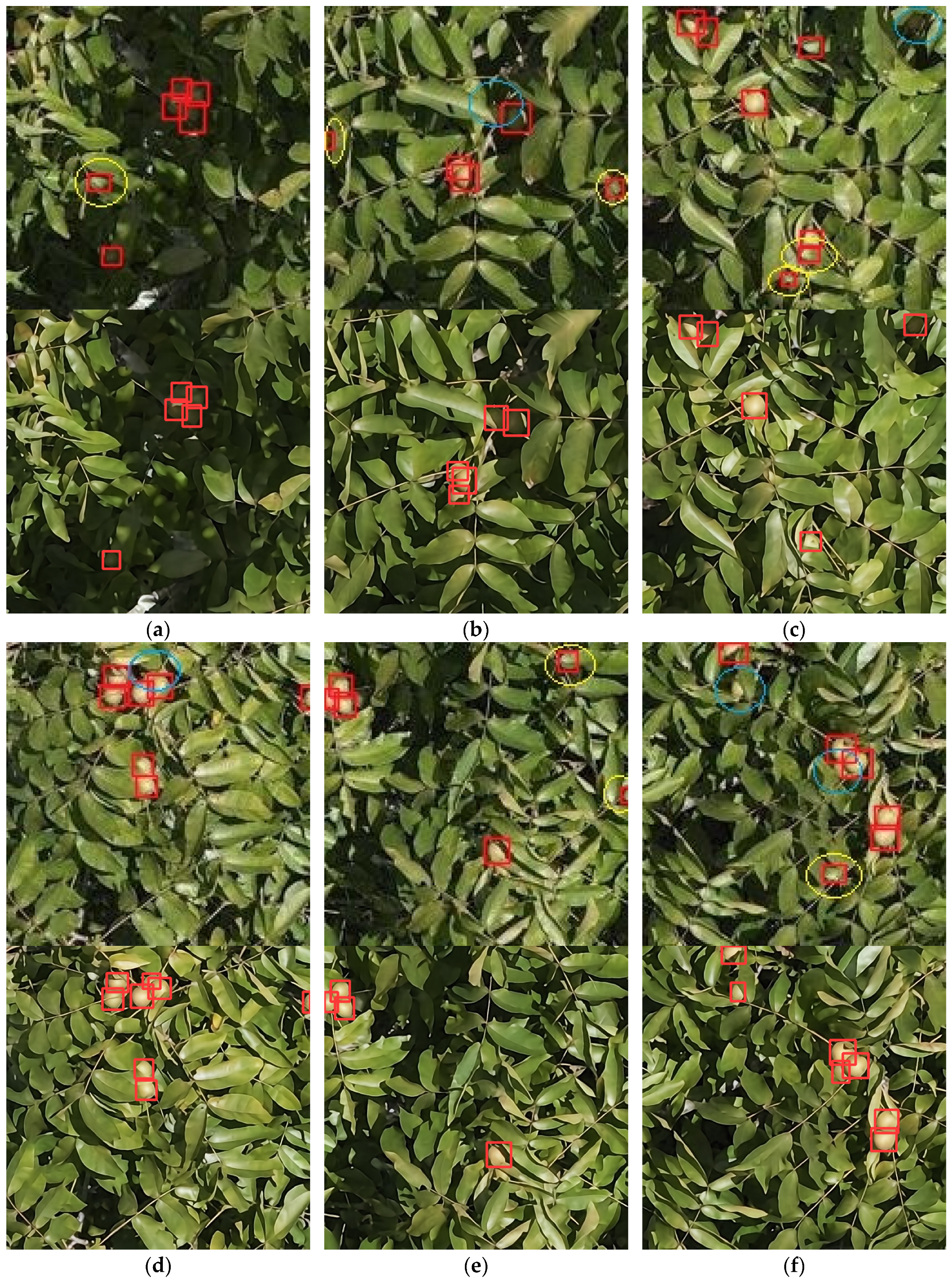 Agriculture 14 01279 g012